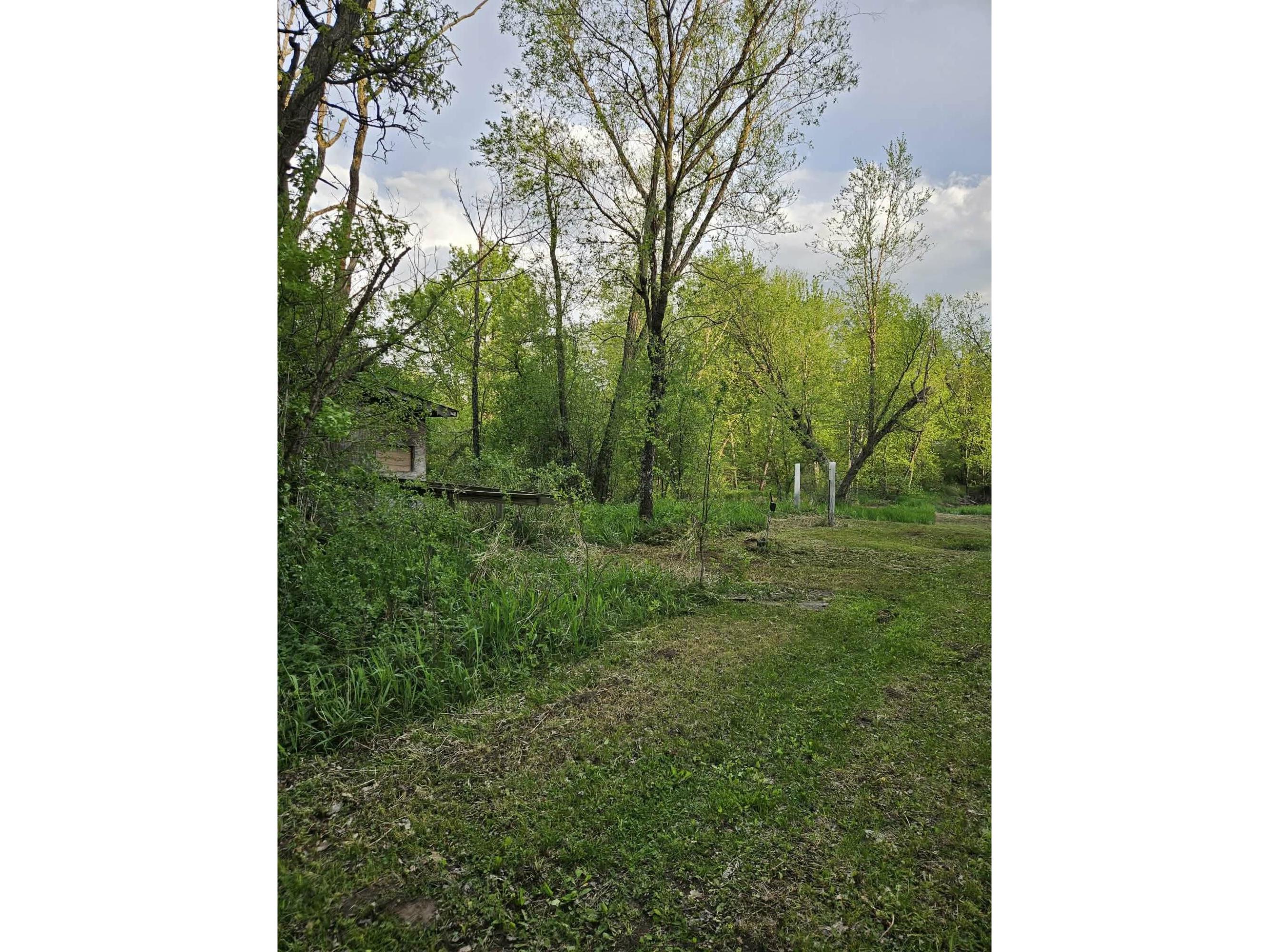 W16875 State Highway 95 Springfield WI 54659 1962995 image18