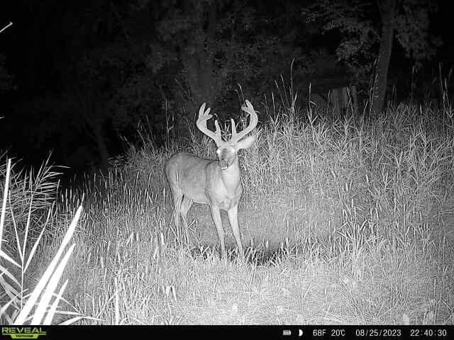 W16875 State Highway 95 Springfield WI 54659 1962995 image22