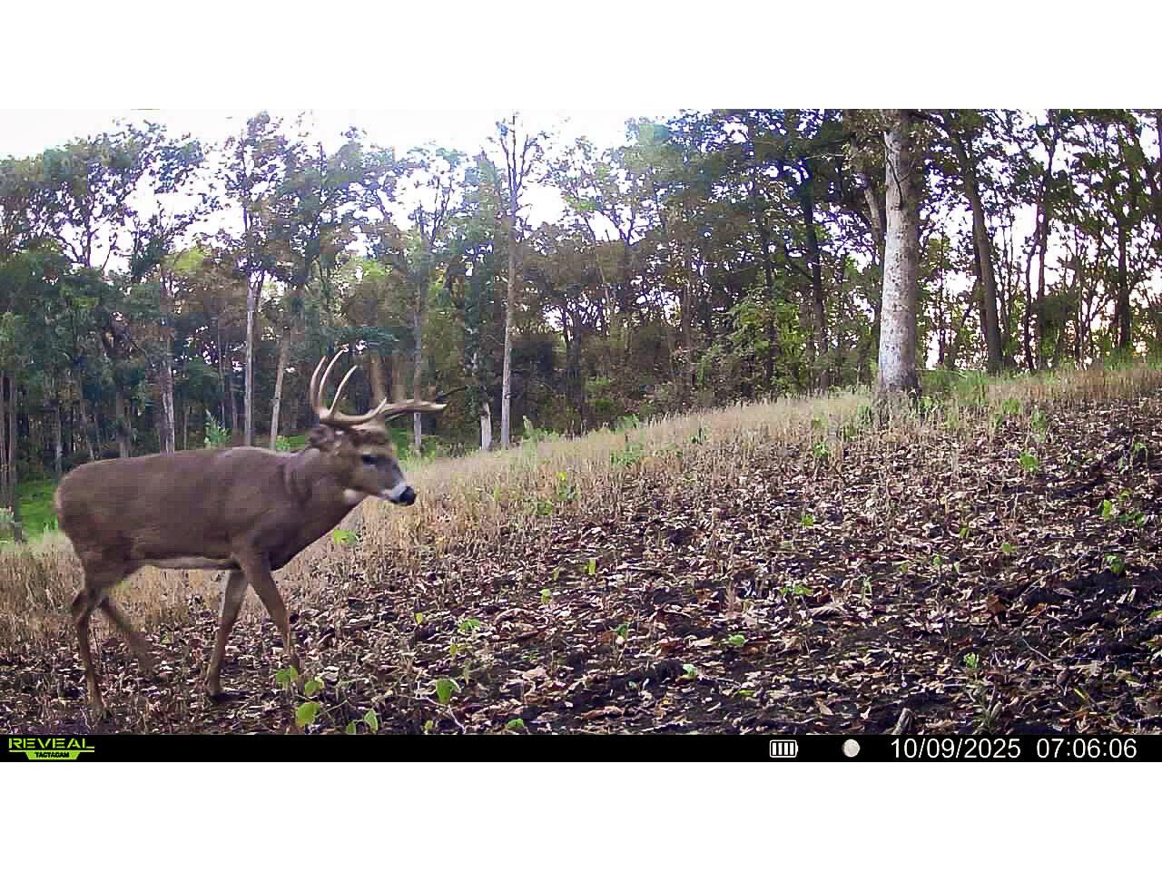 W27022 Whistlers Pass Dodge WI 54625 1947066 image1