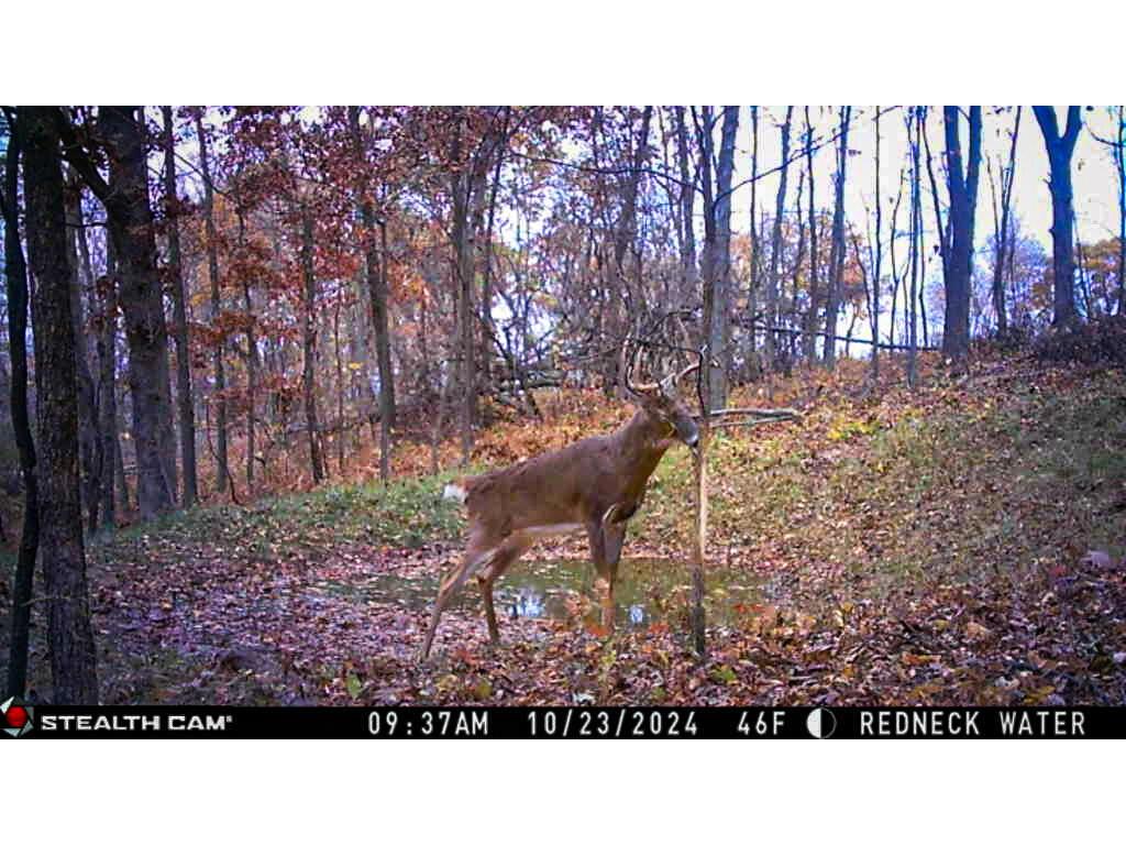 W27022 Whistlers Pass Dodge WI 54625 1947066 image100