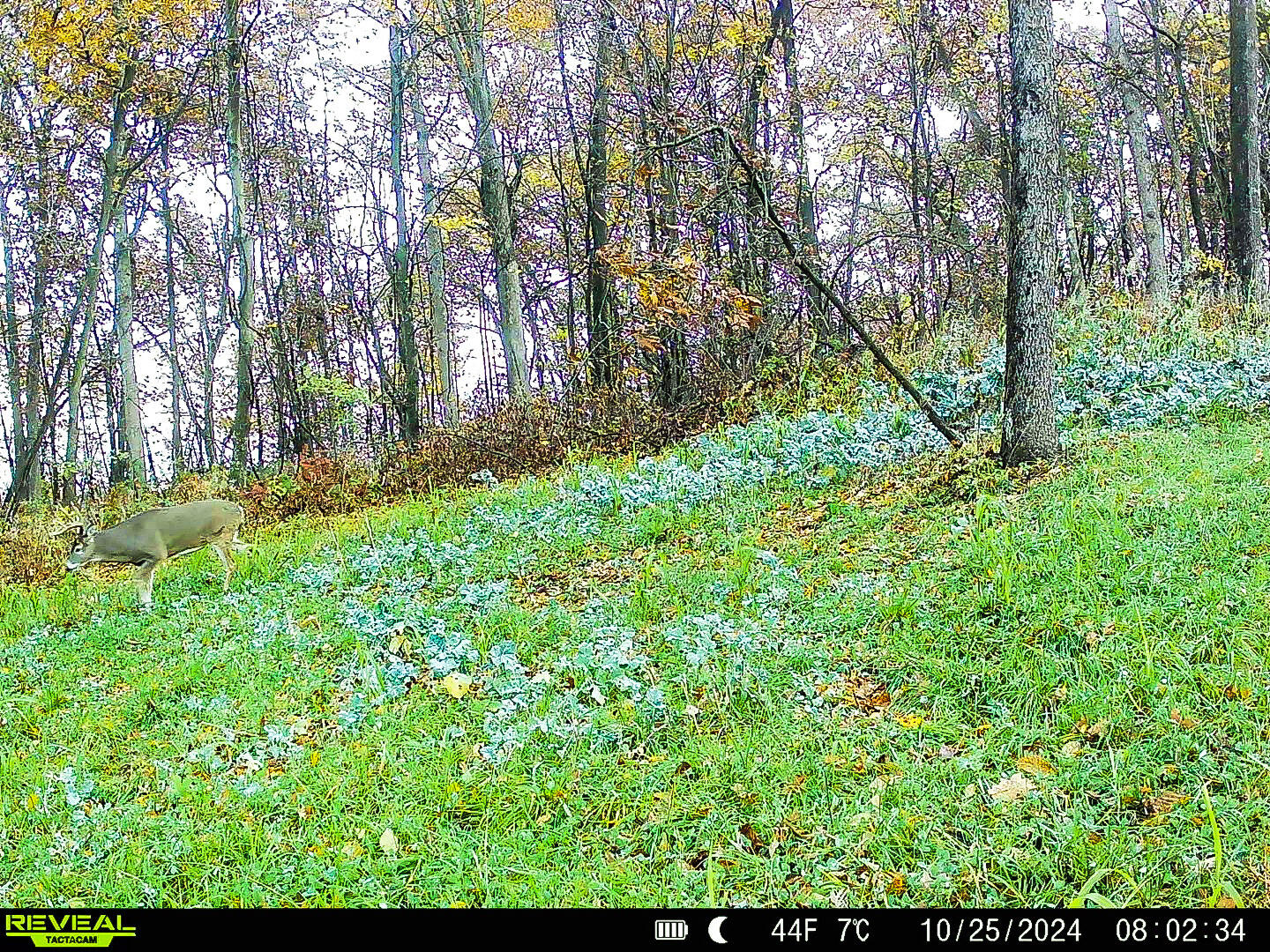 W27022 Whistlers Pass Dodge WI 54625 1947066 image101