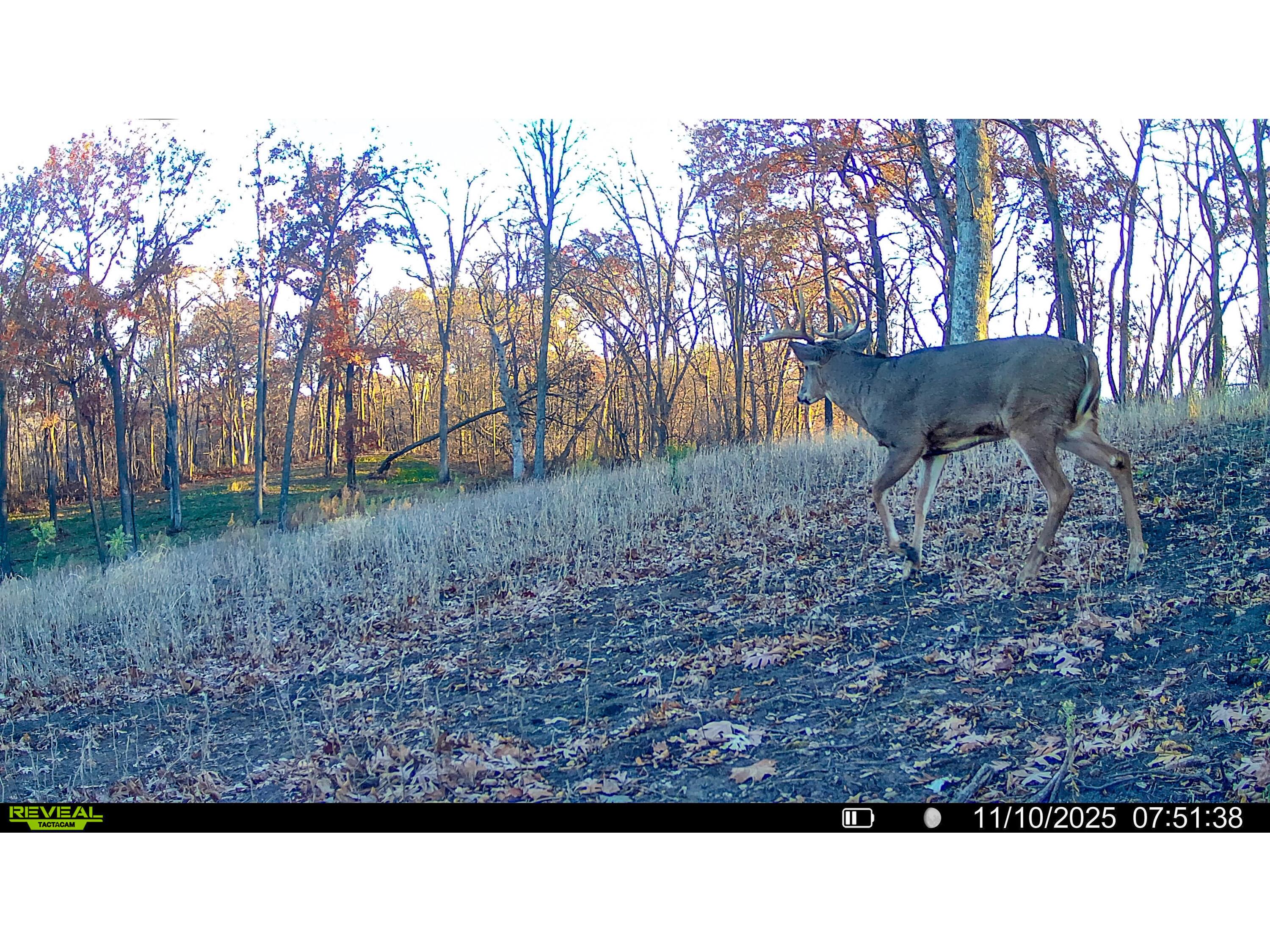 W27022 Whistlers Pass Dodge WI 54625 1947066 image102