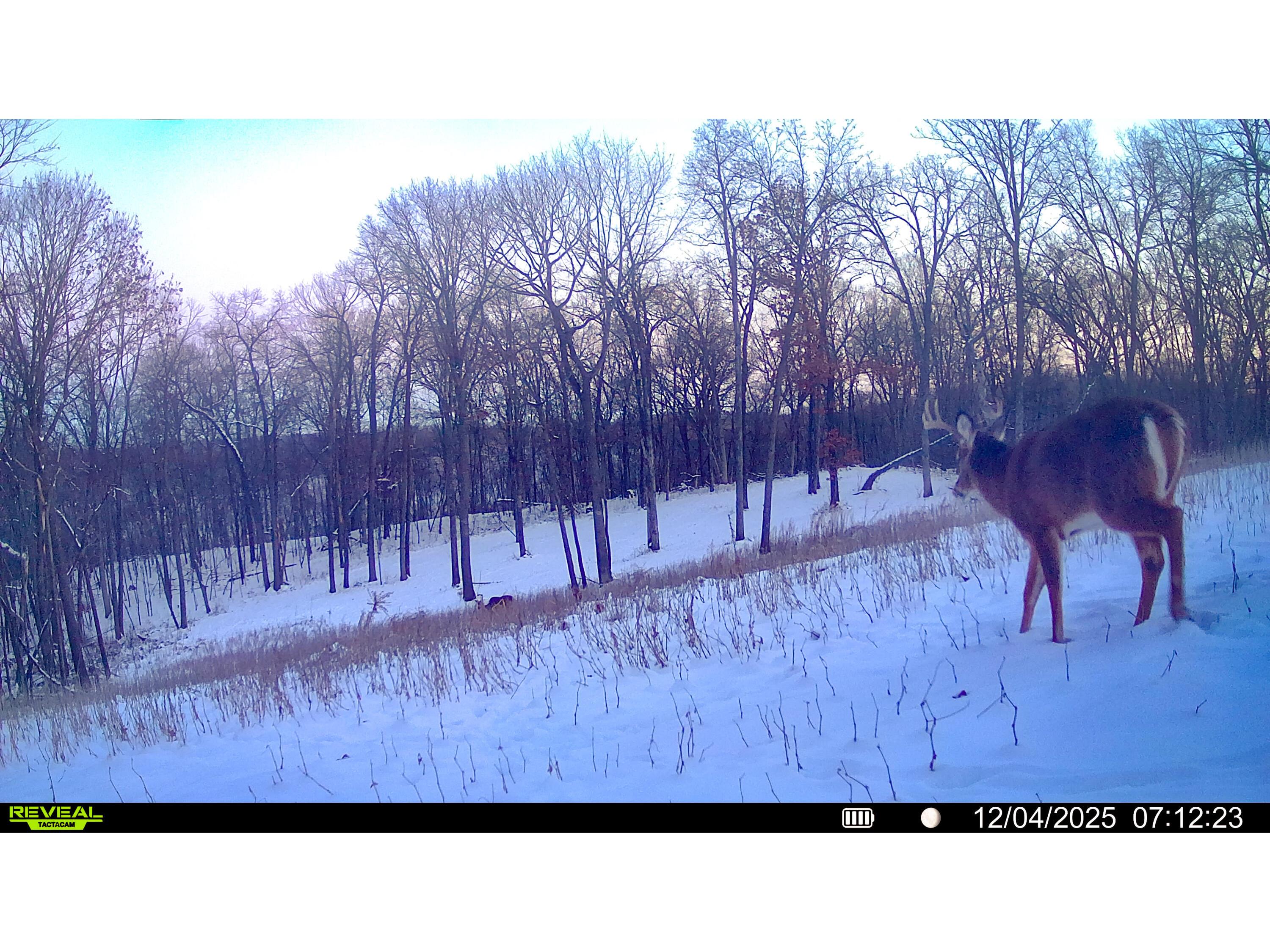 W27022 Whistlers Pass Dodge WI 54625 1947066 image103