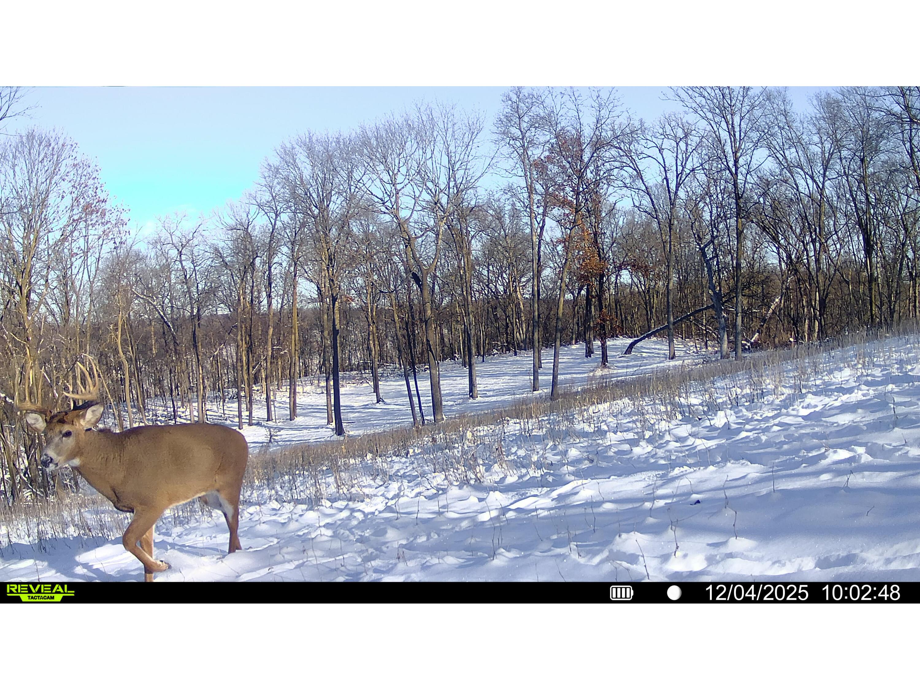 W27022 Whistlers Pass Dodge WI 54625 1947066 image104