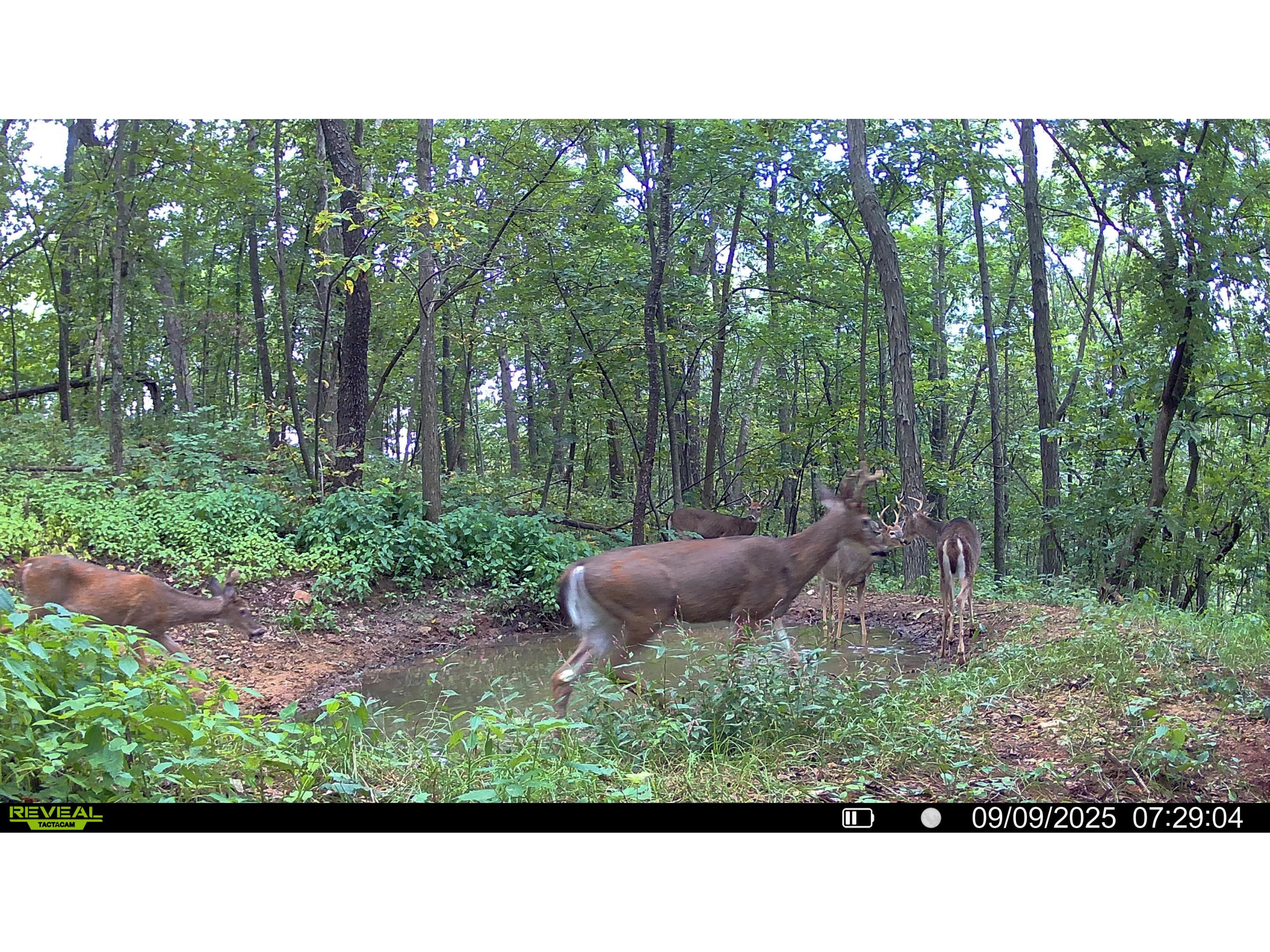 W27022 Whistlers Pass Dodge WI 54625 1947066 image106