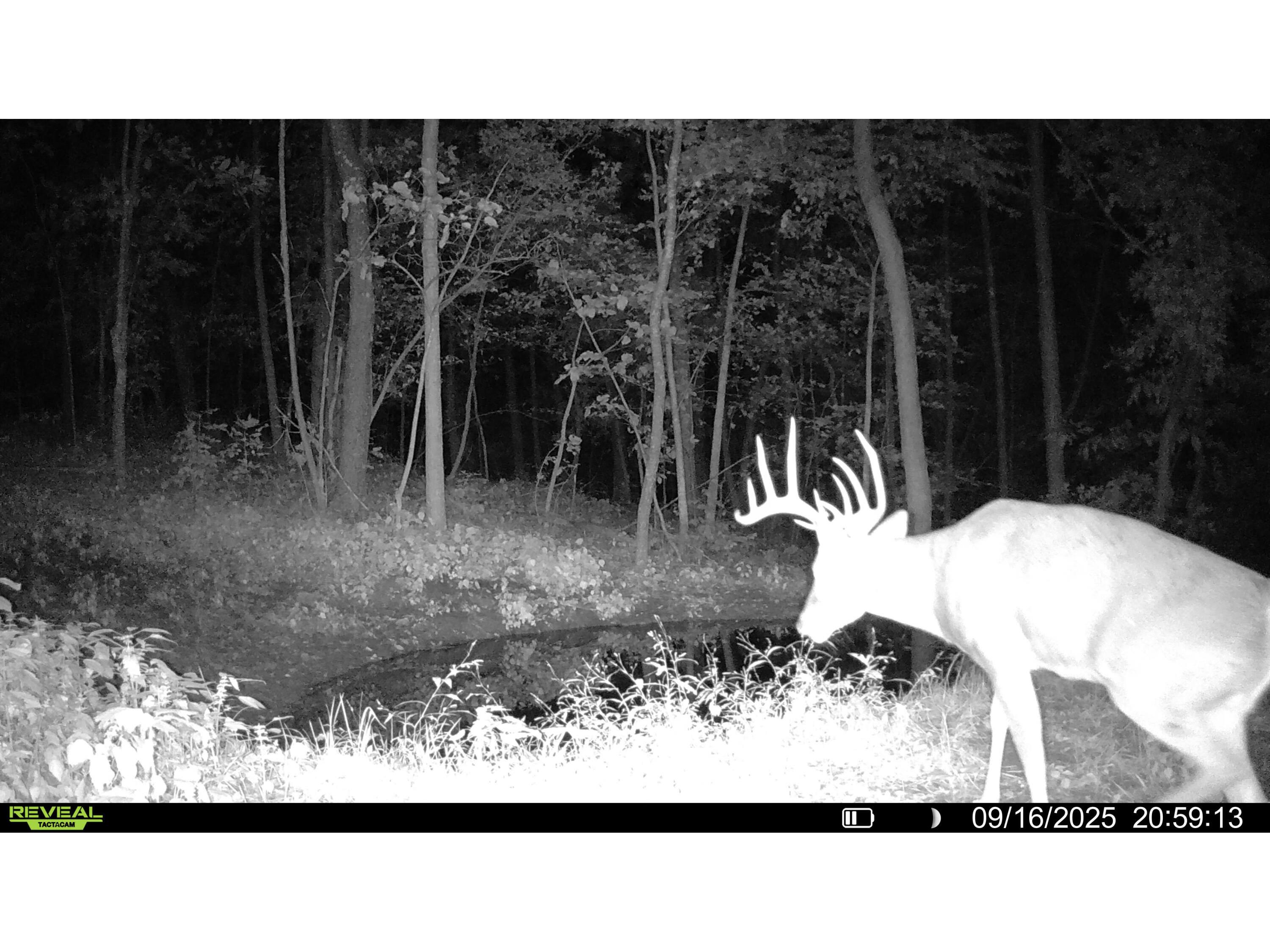 W27022 Whistlers Pass Dodge WI 54625 1947066 image108