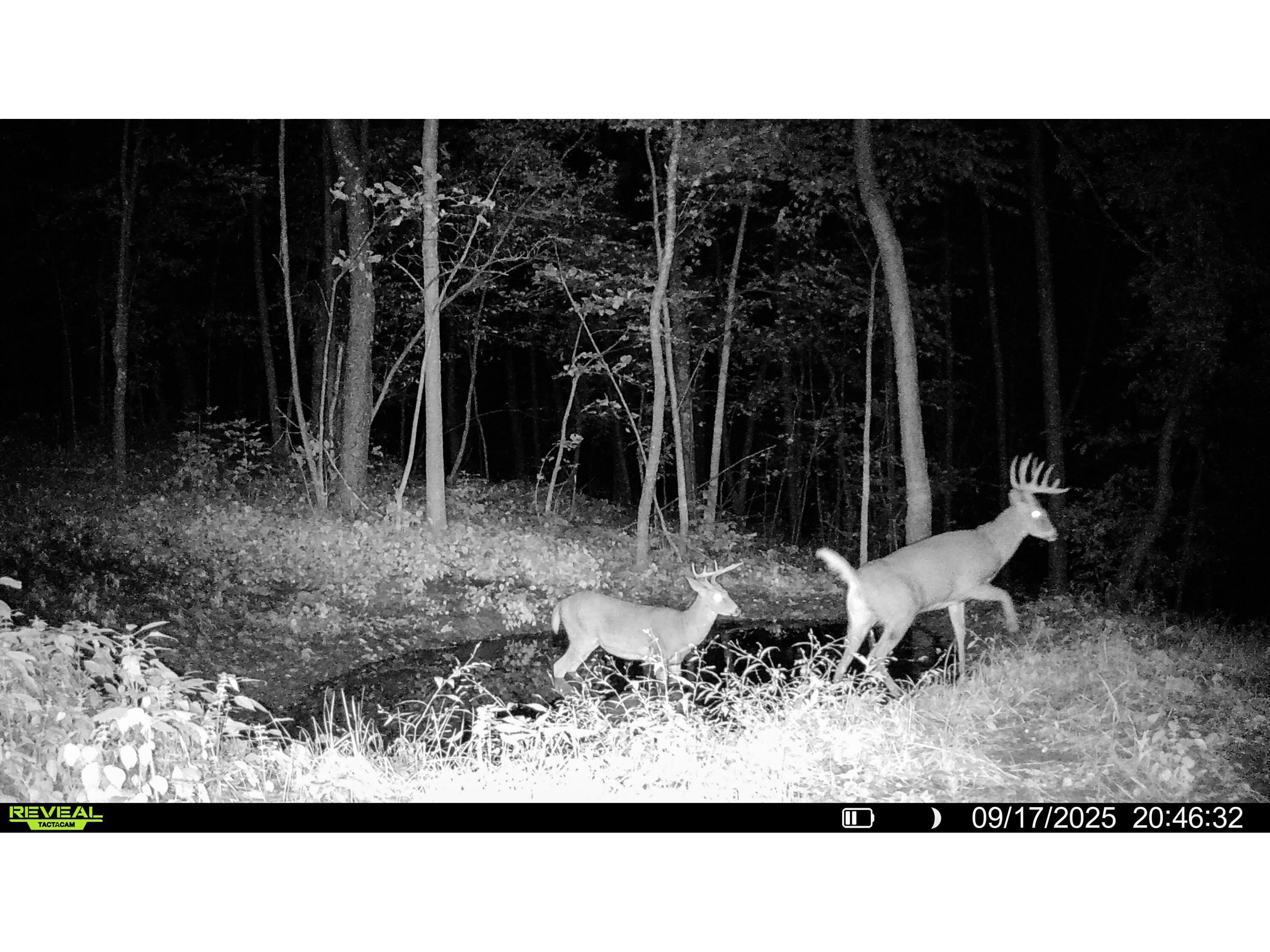 W27022 Whistlers Pass Dodge WI 54625 1947066 image109