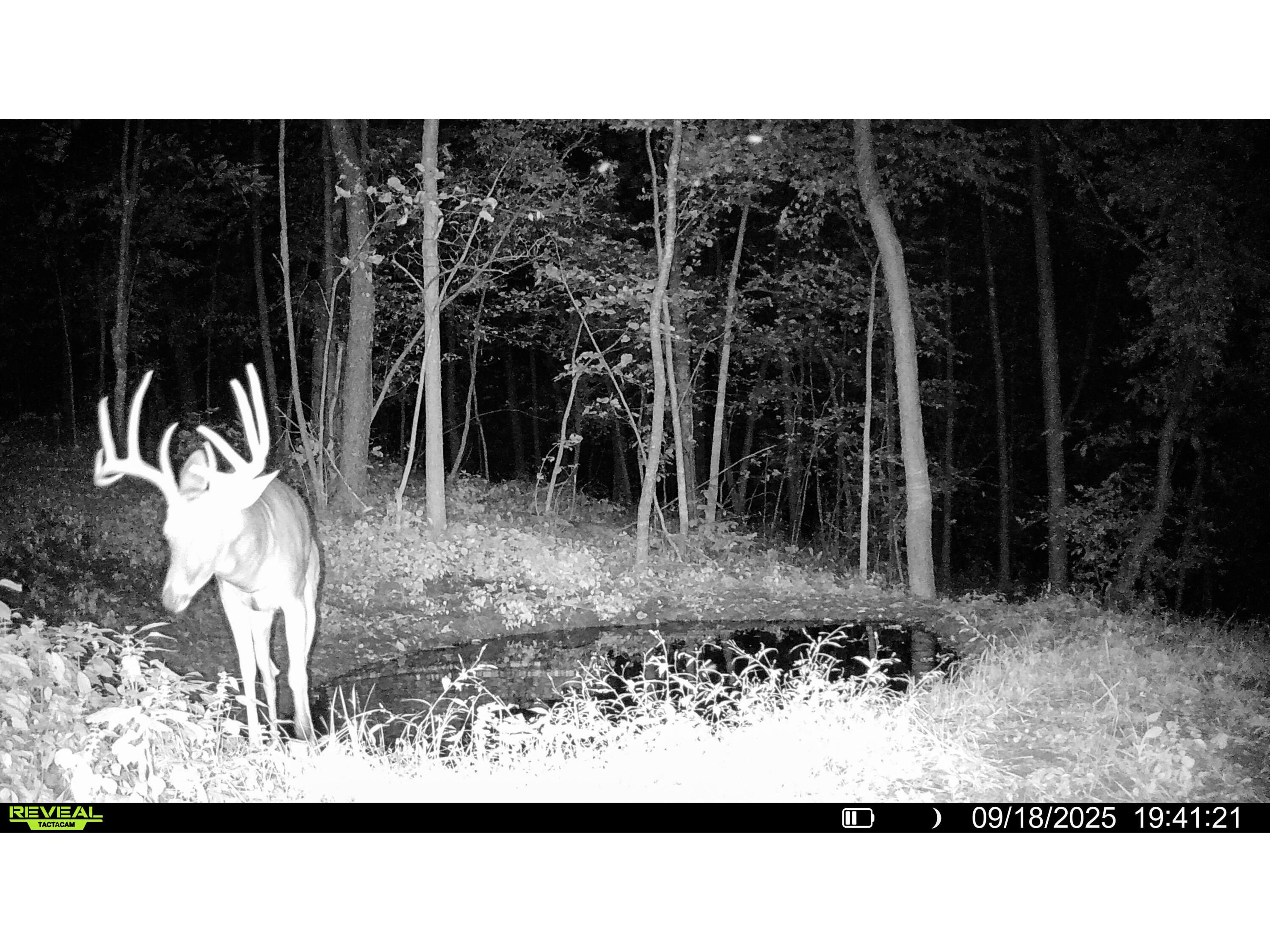 W27022 Whistlers Pass Dodge WI 54625 1947066 image110