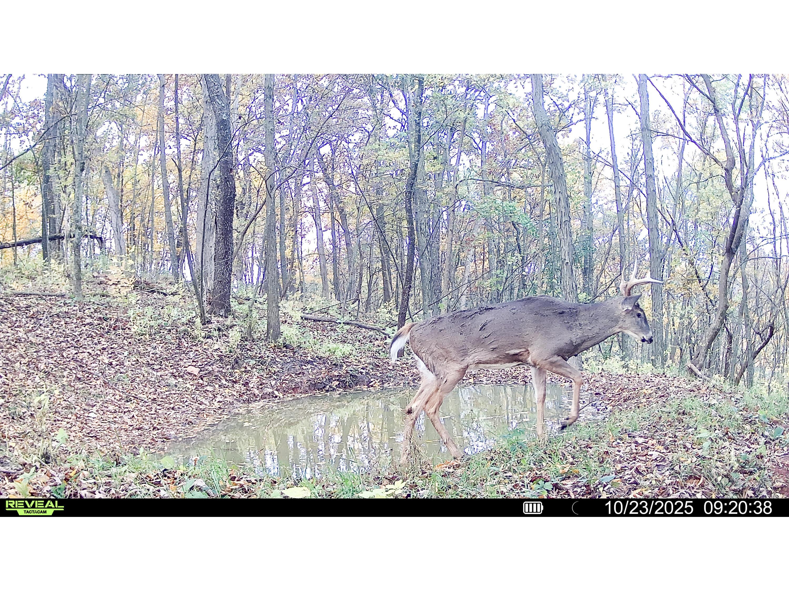 W27022 Whistlers Pass Dodge WI 54625 1947066 image112