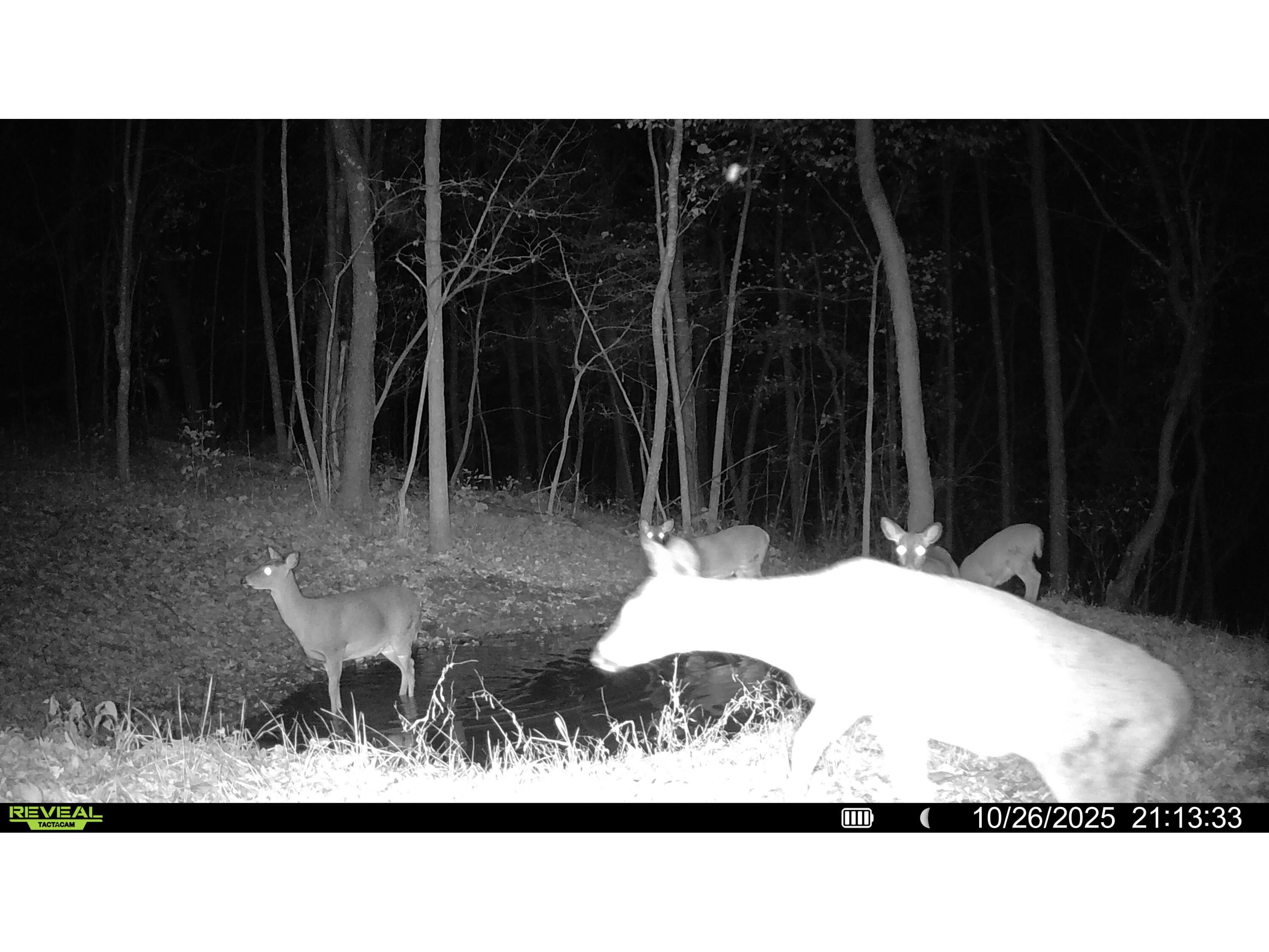 W27022 Whistlers Pass Dodge WI 54625 1947066 image114