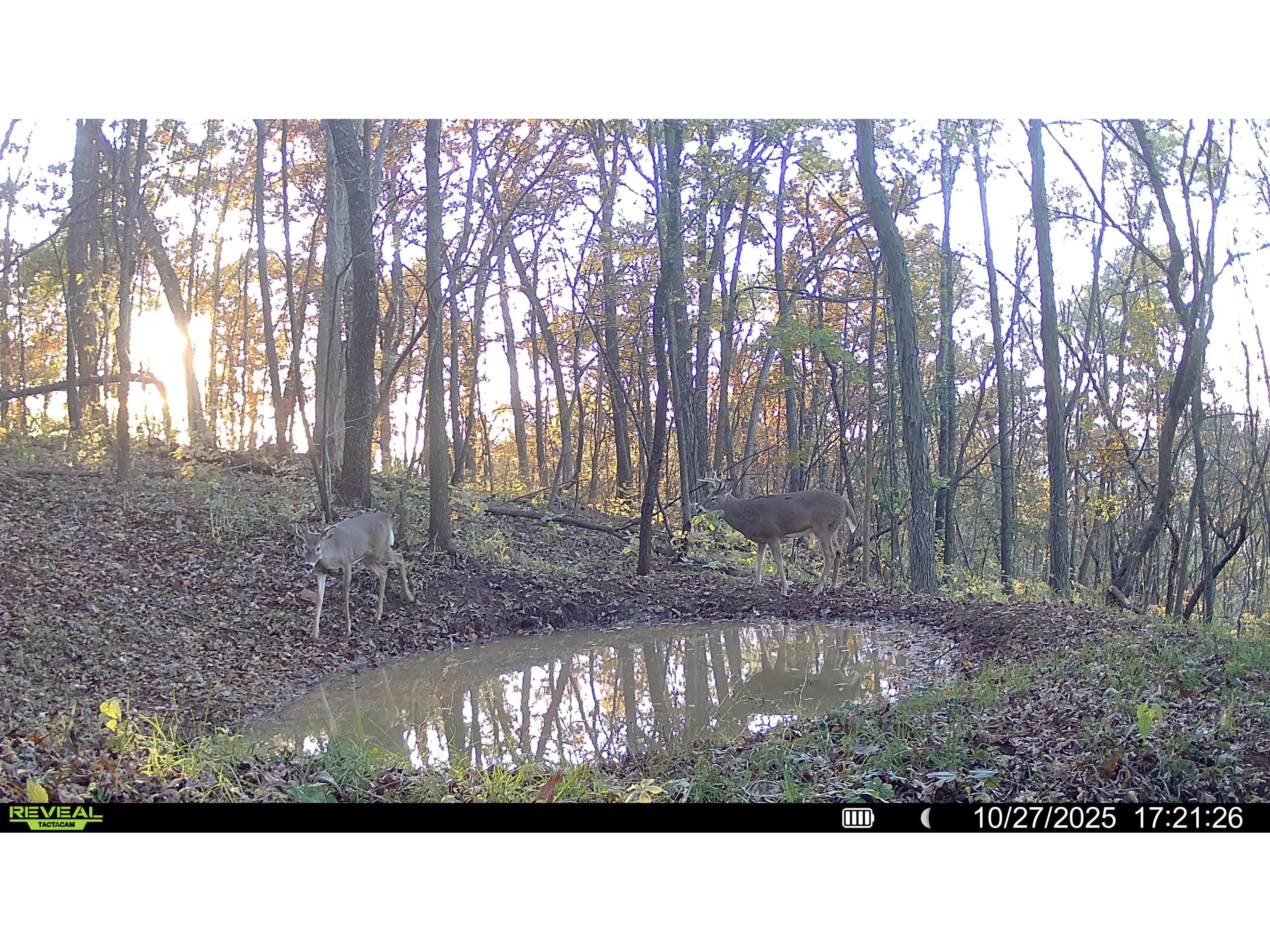 W27022 Whistlers Pass Dodge WI 54625 1947066 image115