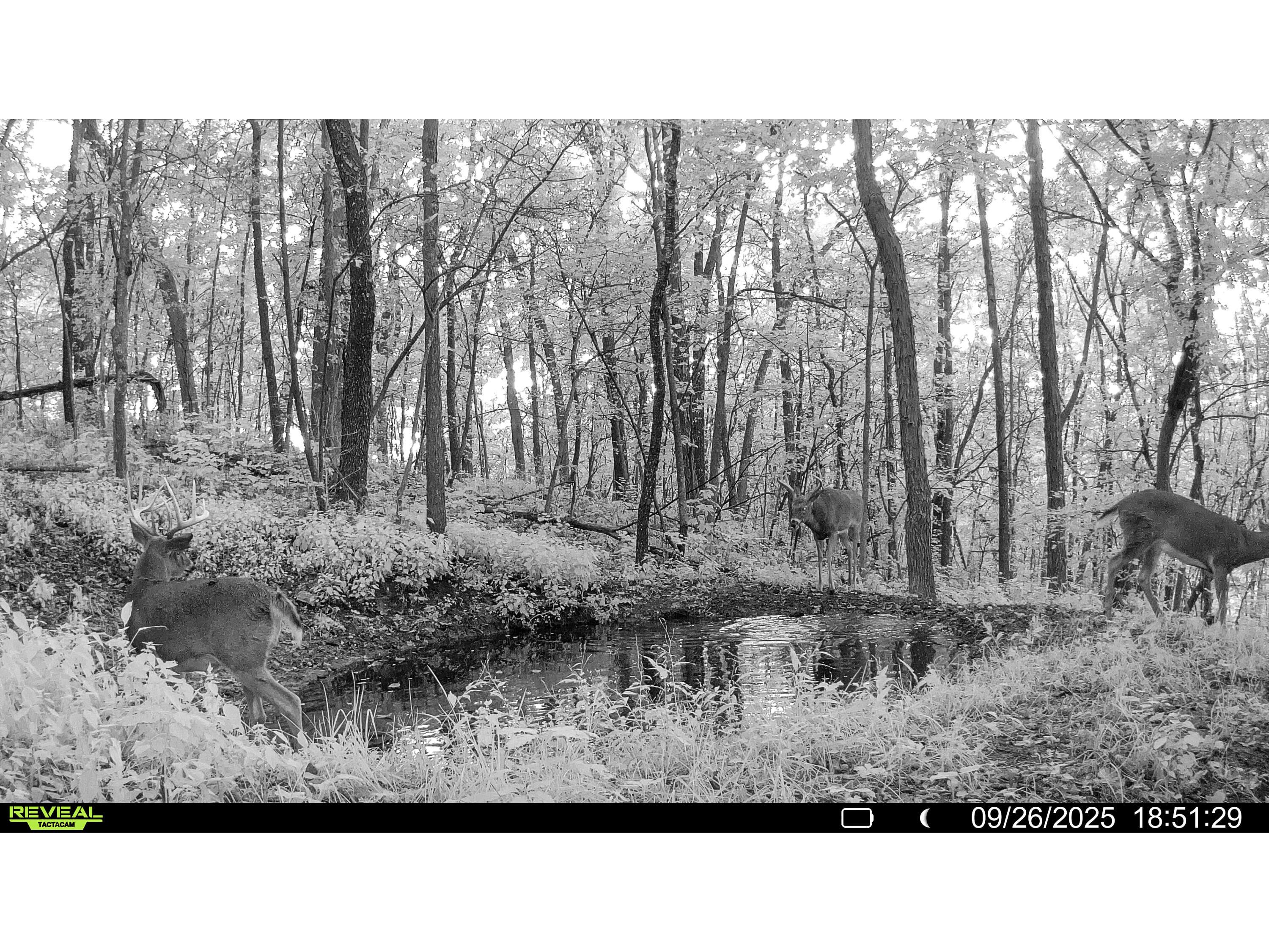 W27022 Whistlers Pass Dodge WI 54625 1947066 image12