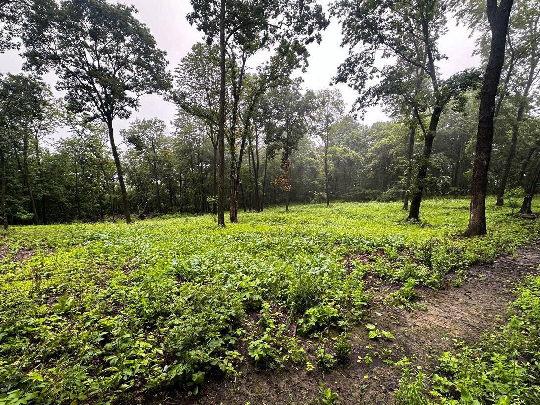 W27022 Whistlers Pass Dodge WI 54625 1947066 image13