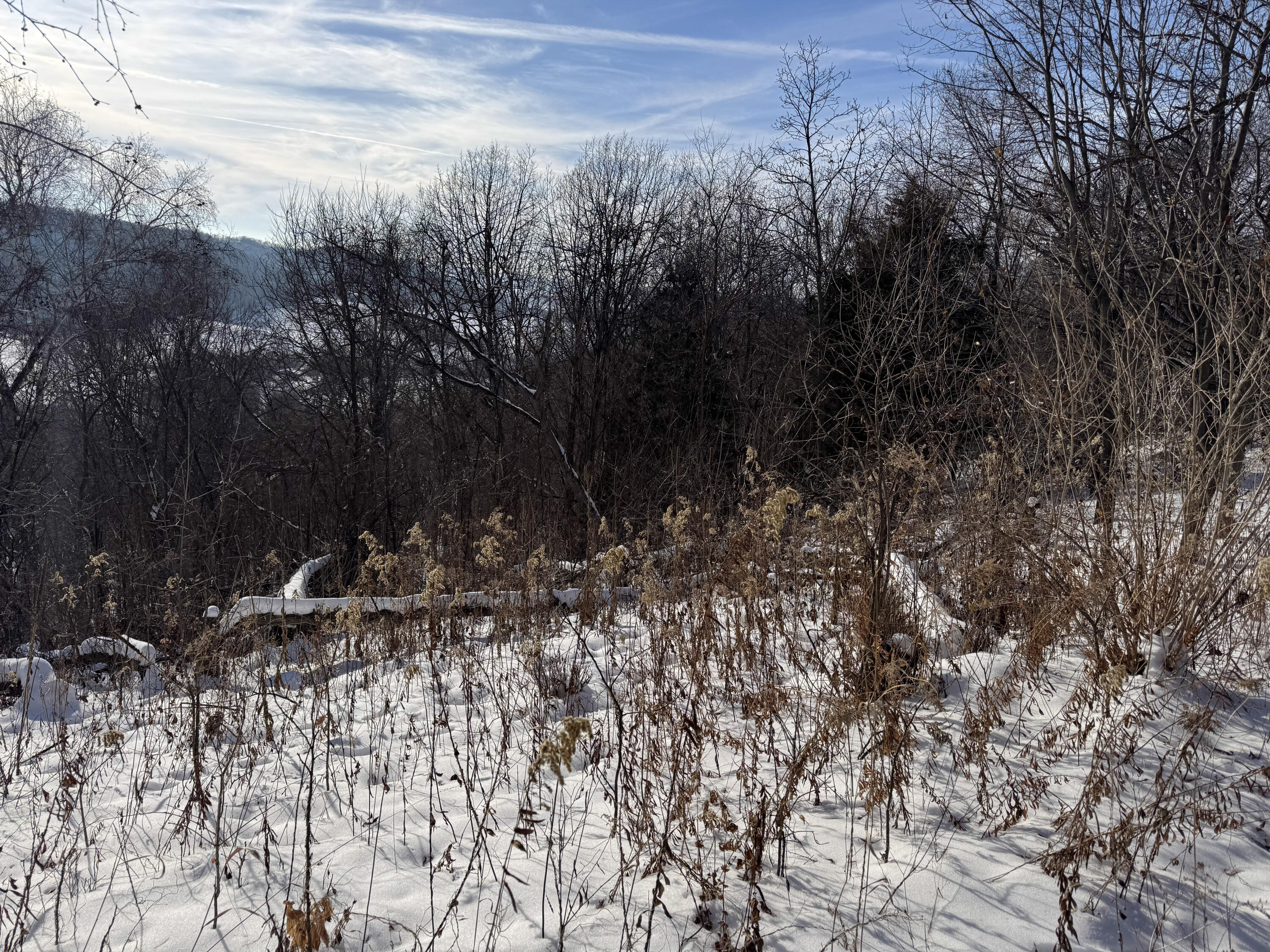 W27022 Whistlers Pass Dodge WI 54625 1947066 image14