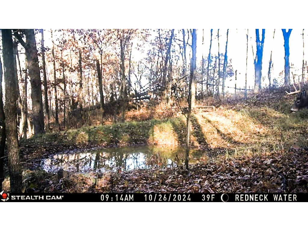 W27022 Whistlers Pass Dodge WI 54625 1947066 image15