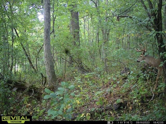 W27022 Whistlers Pass Dodge WI 54625 1947066 image17