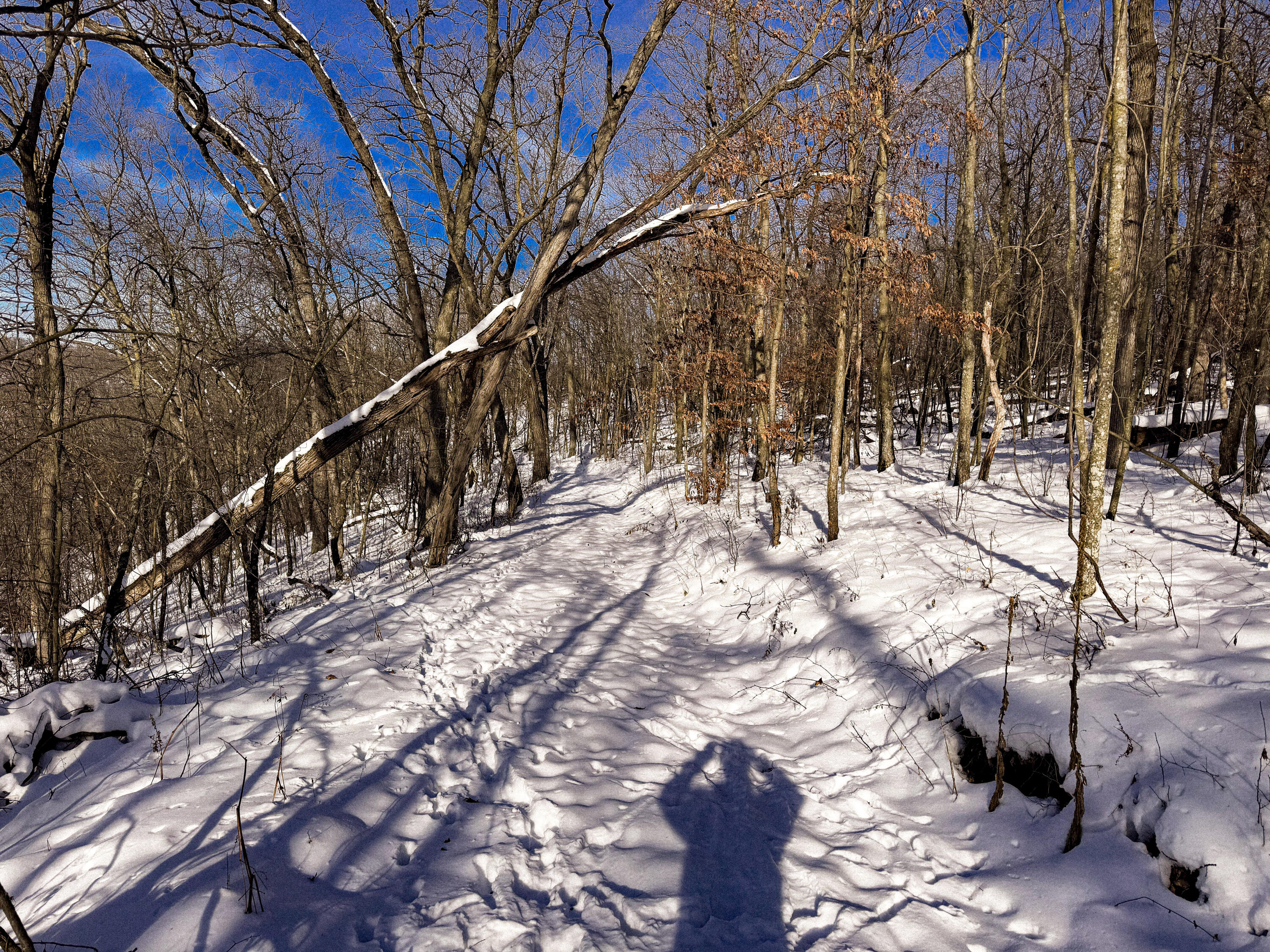 W27022 Whistlers Pass Dodge WI 54625 1947066 image18