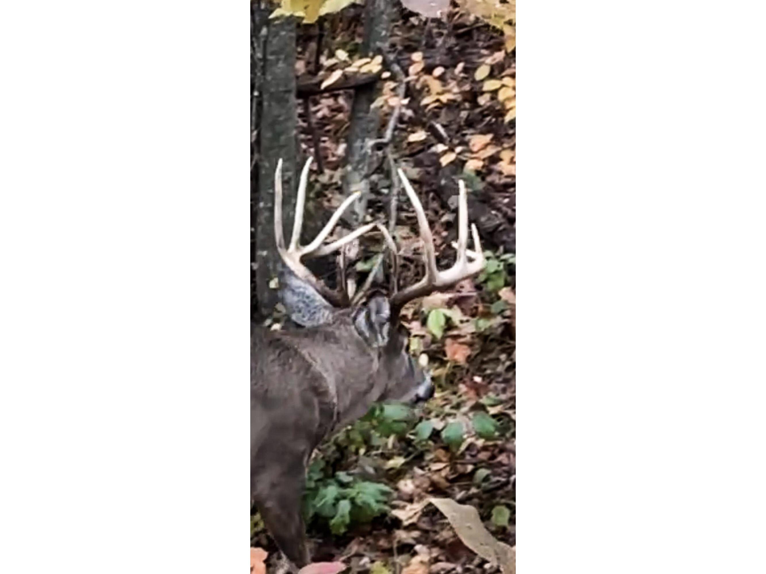 W27022 Whistlers Pass Dodge WI 54625 1947066 image19