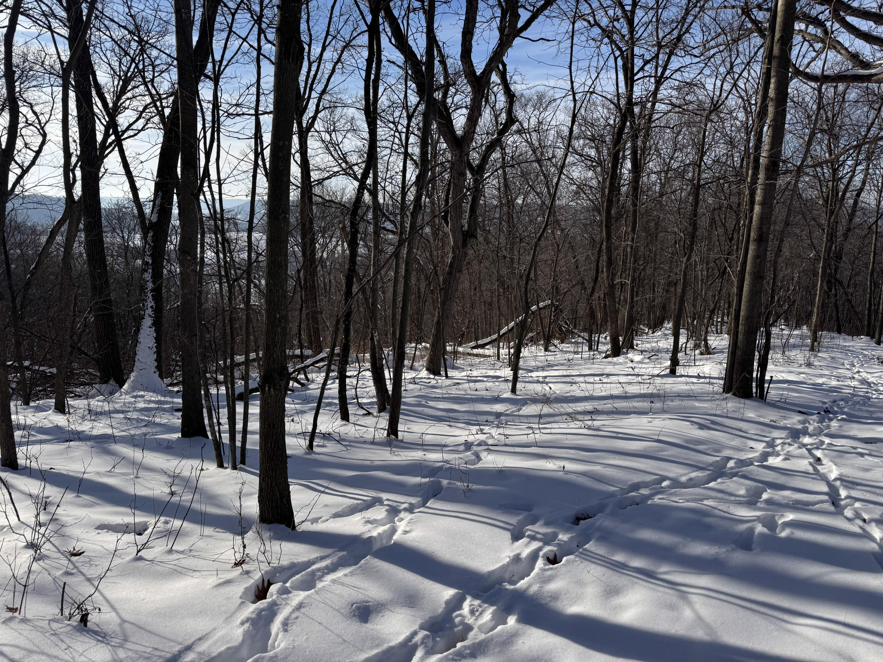 W27022 Whistlers Pass Dodge WI 54625 1947066 image2