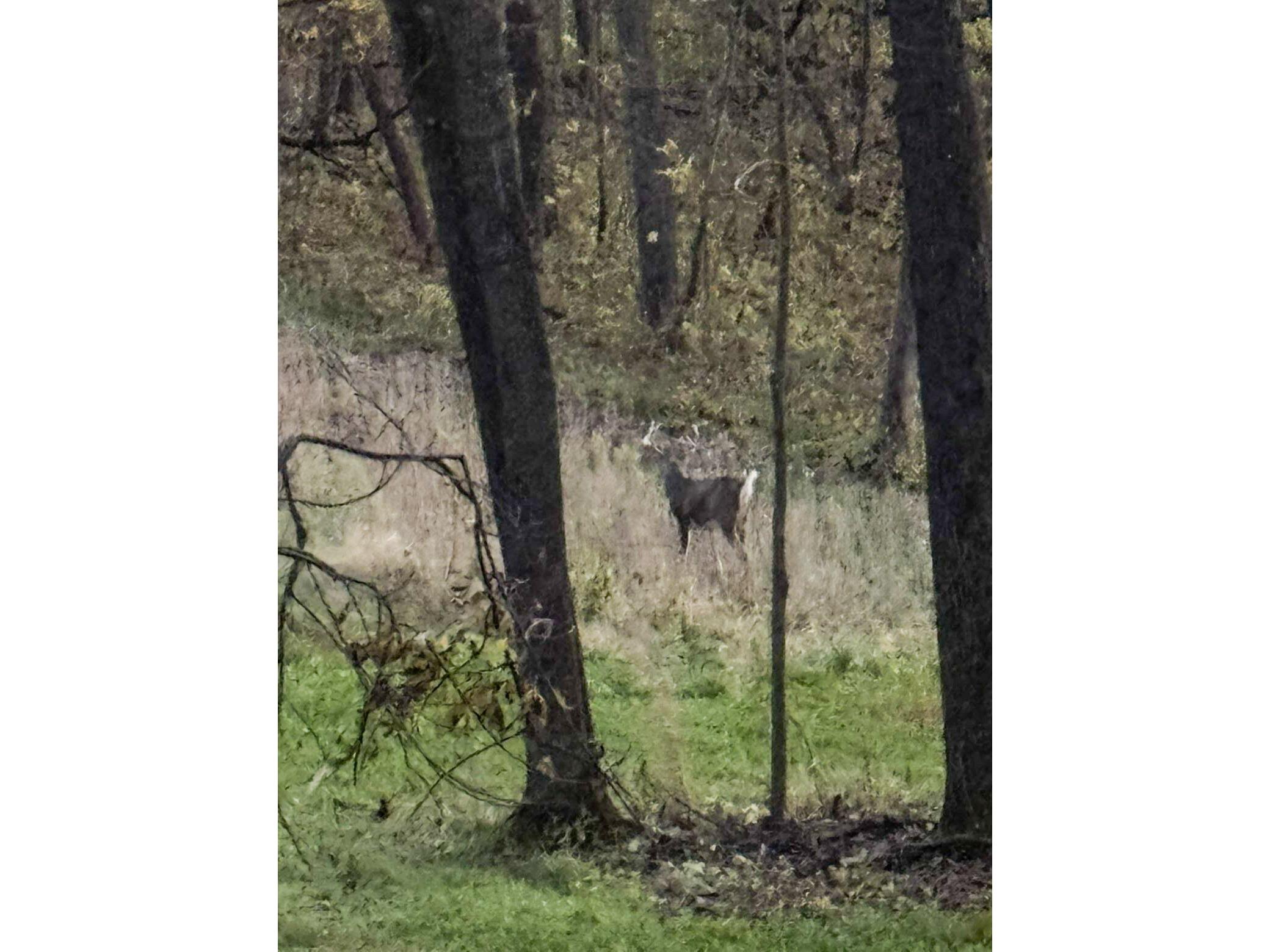 W27022 Whistlers Pass Dodge WI 54625 1947066 image20