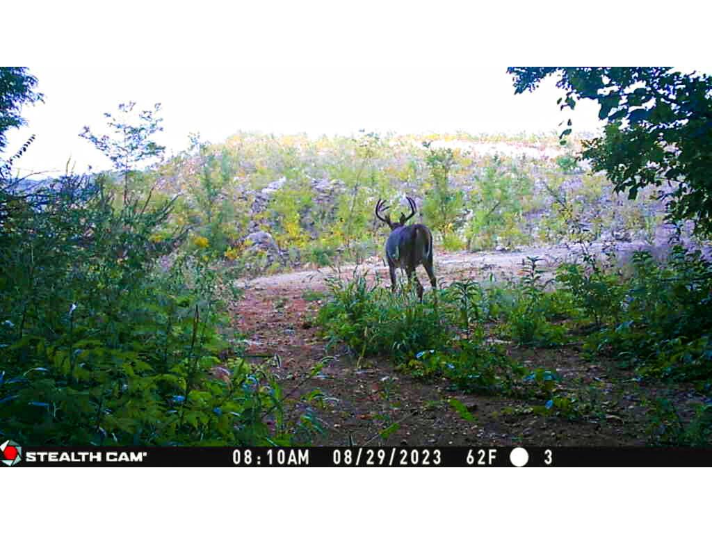 W27022 Whistlers Pass Dodge WI 54625 1947066 image21