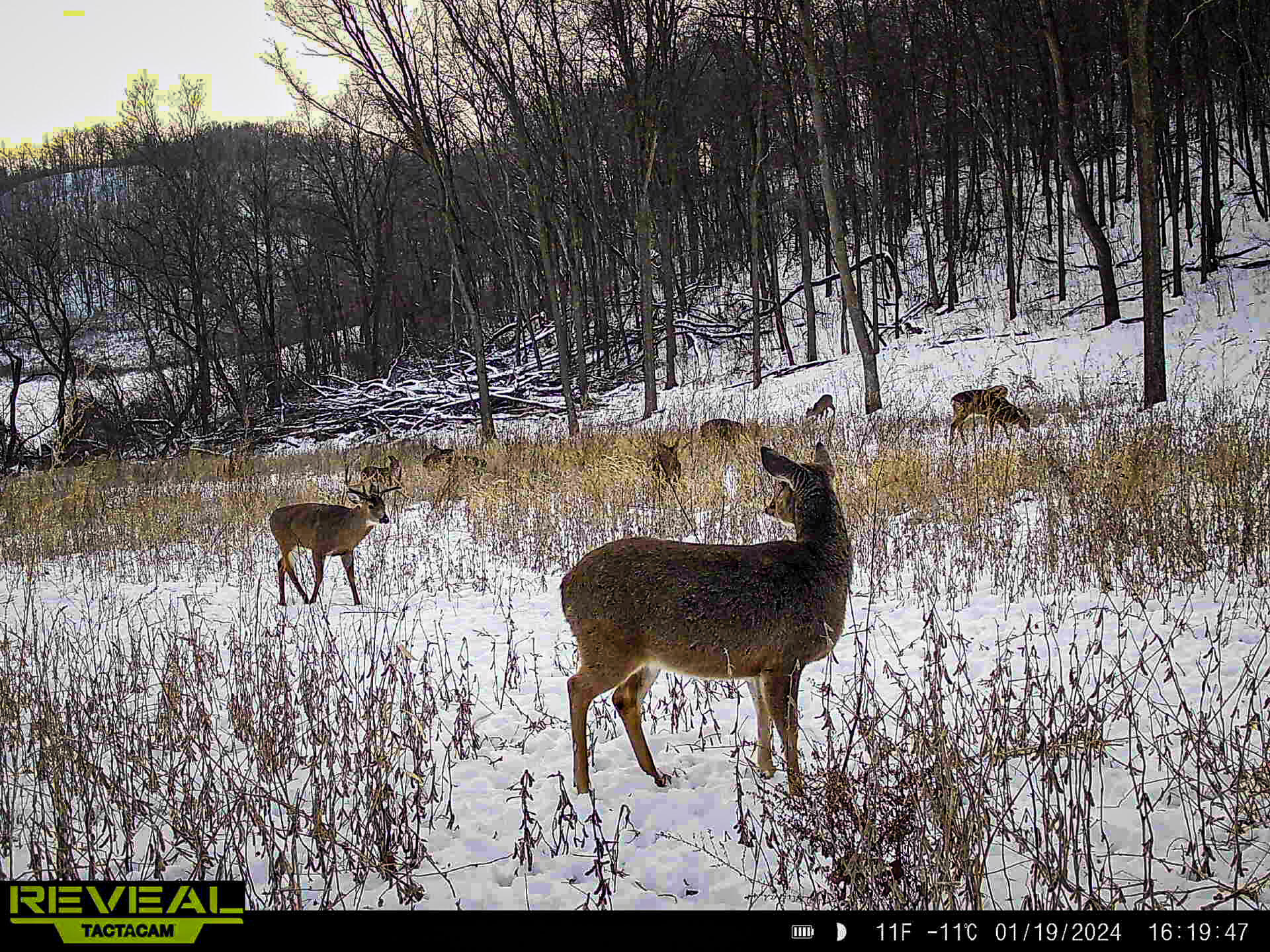 W27022 Whistlers Pass Dodge WI 54625 1947066 image29