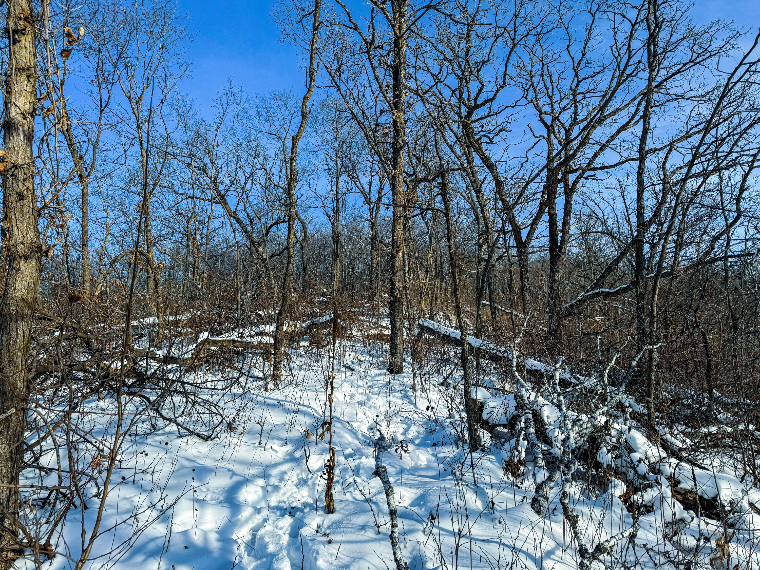 W27022 Whistlers Pass Dodge WI 54625 1947066 image30