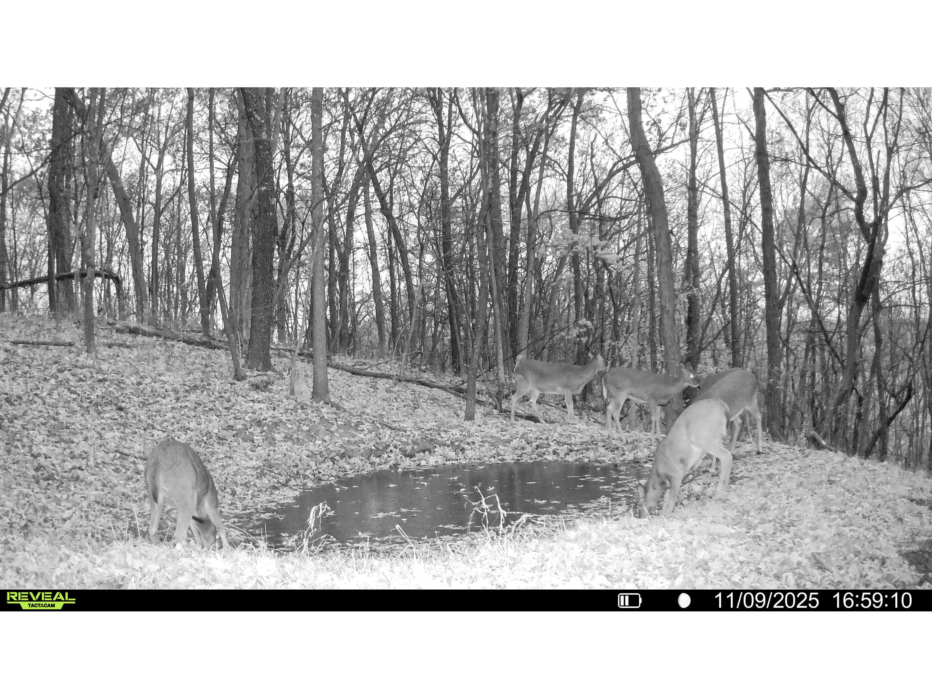 W27022 Whistlers Pass Dodge WI 54625 1947066 image31