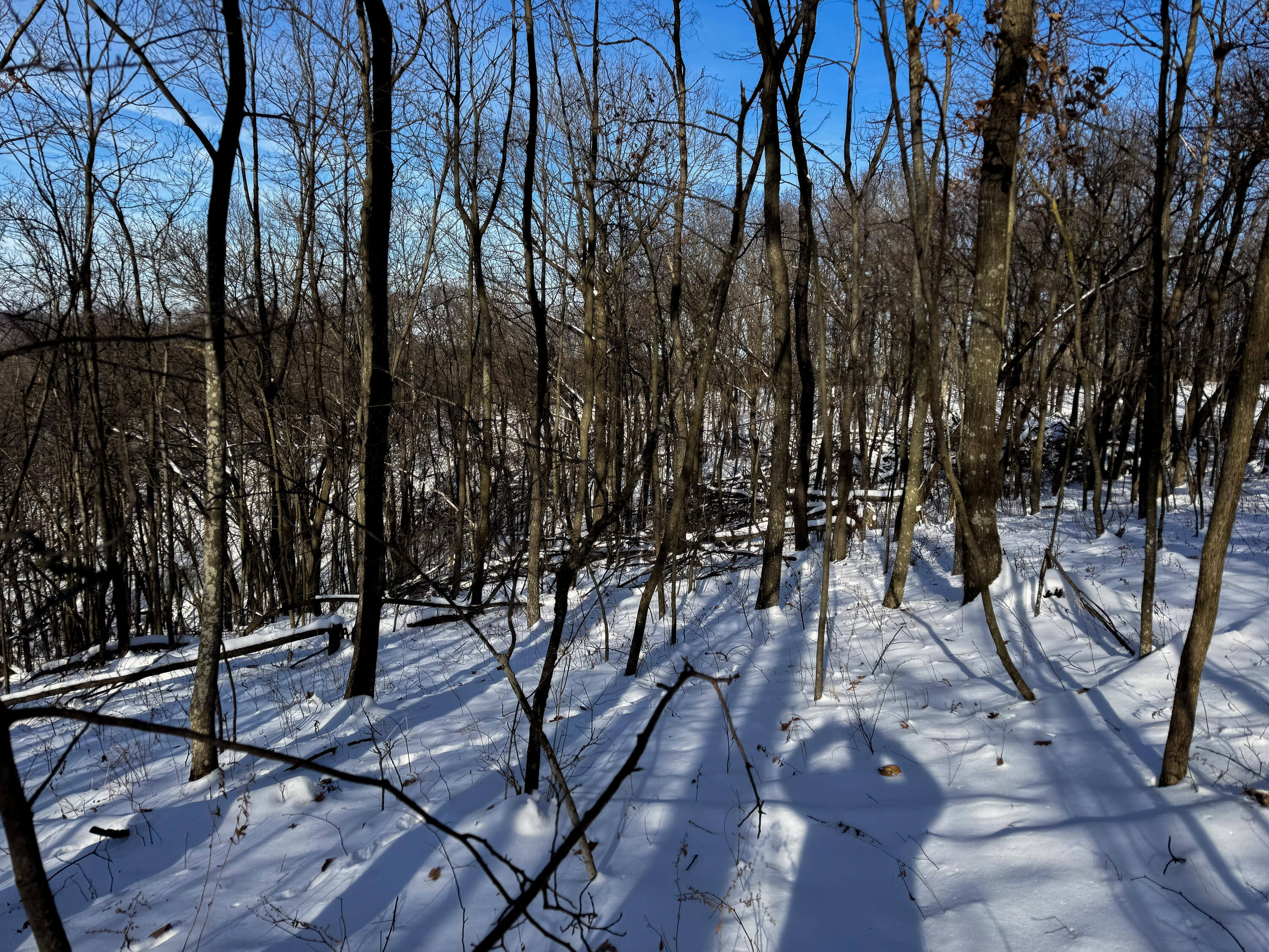 W27022 Whistlers Pass Dodge WI 54625 1947066 image33