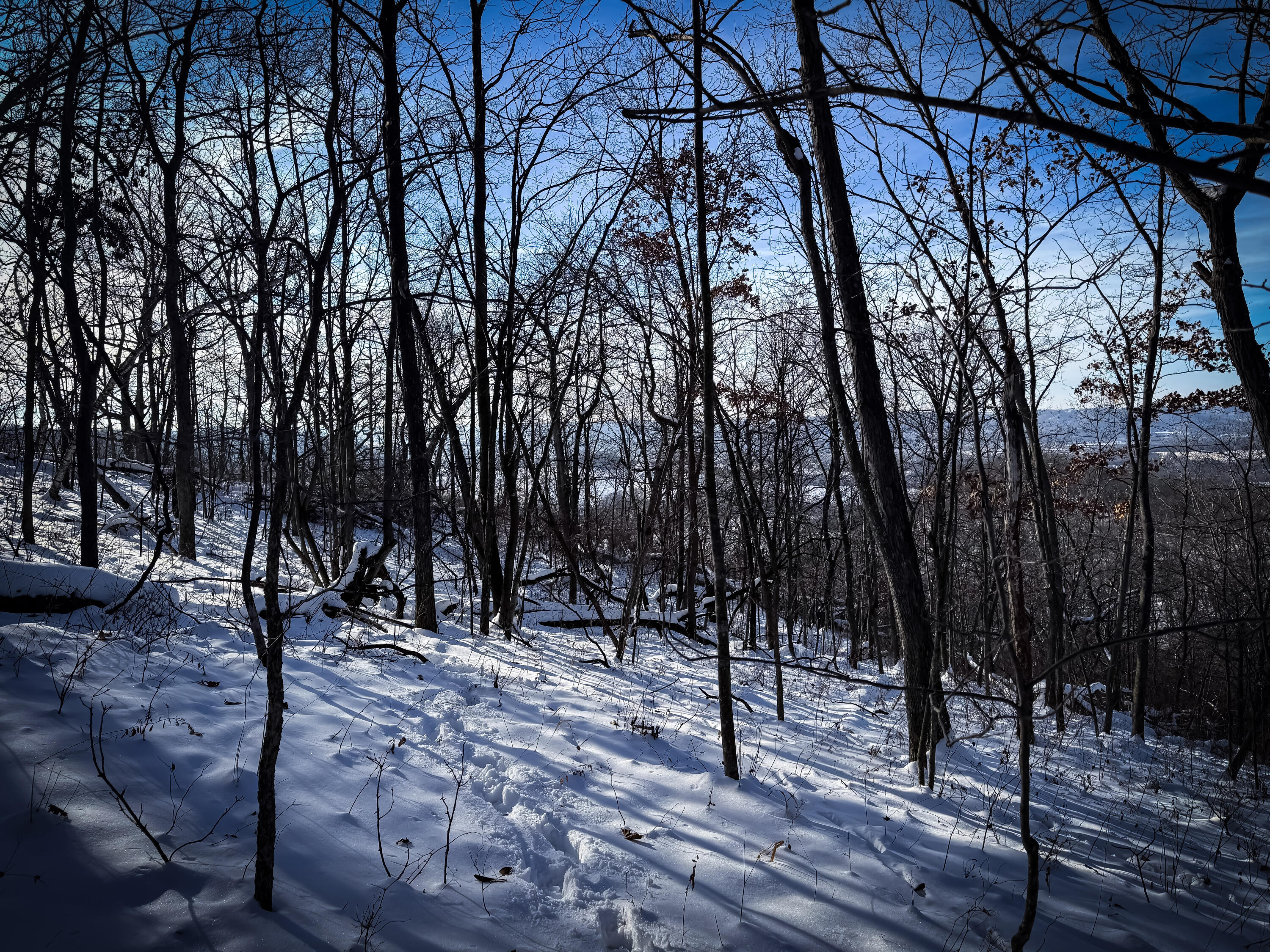 W27022 Whistlers Pass Dodge WI 54625 1947066 image34