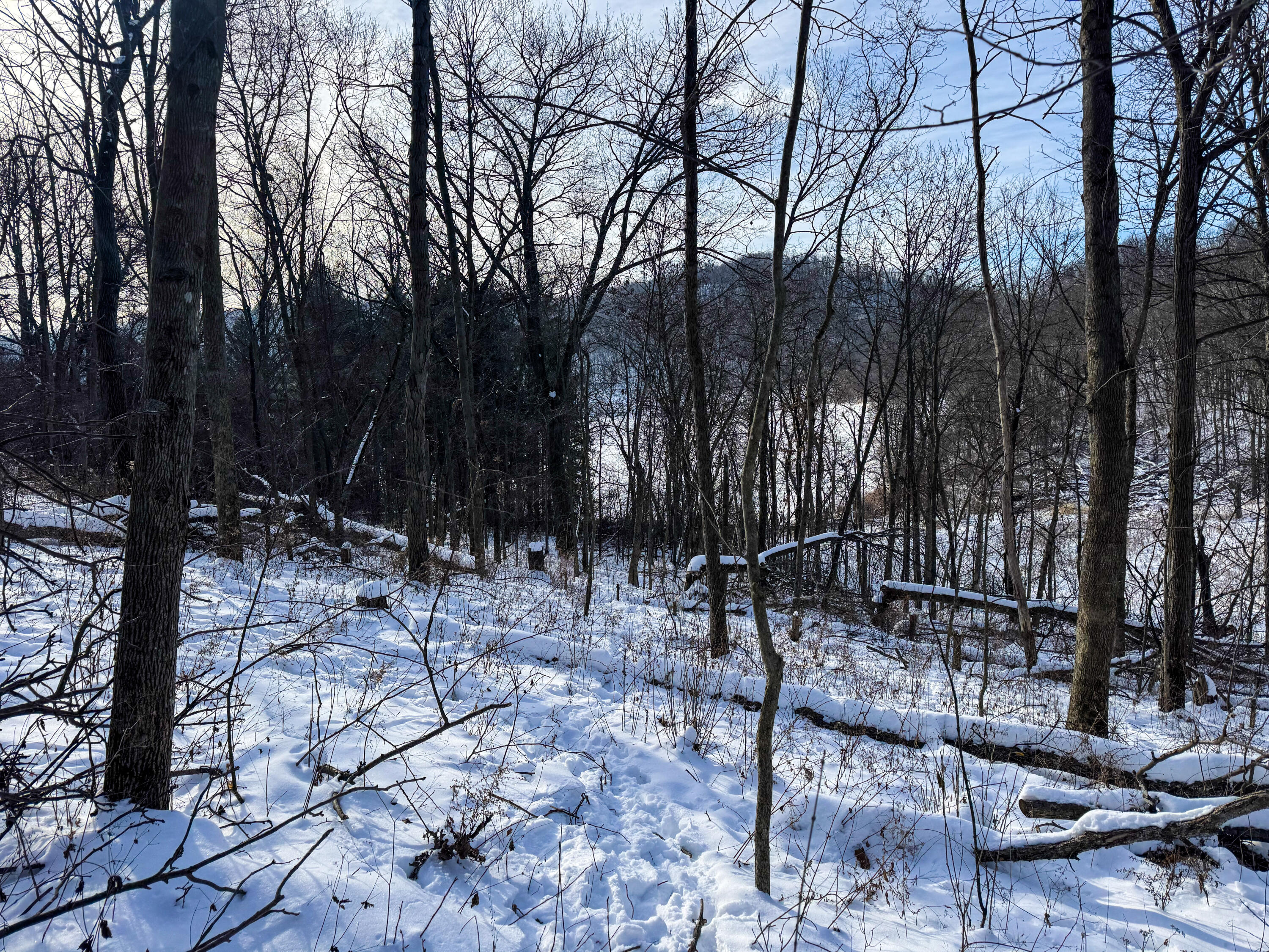 W27022 Whistlers Pass Dodge WI 54625 1947066 image35