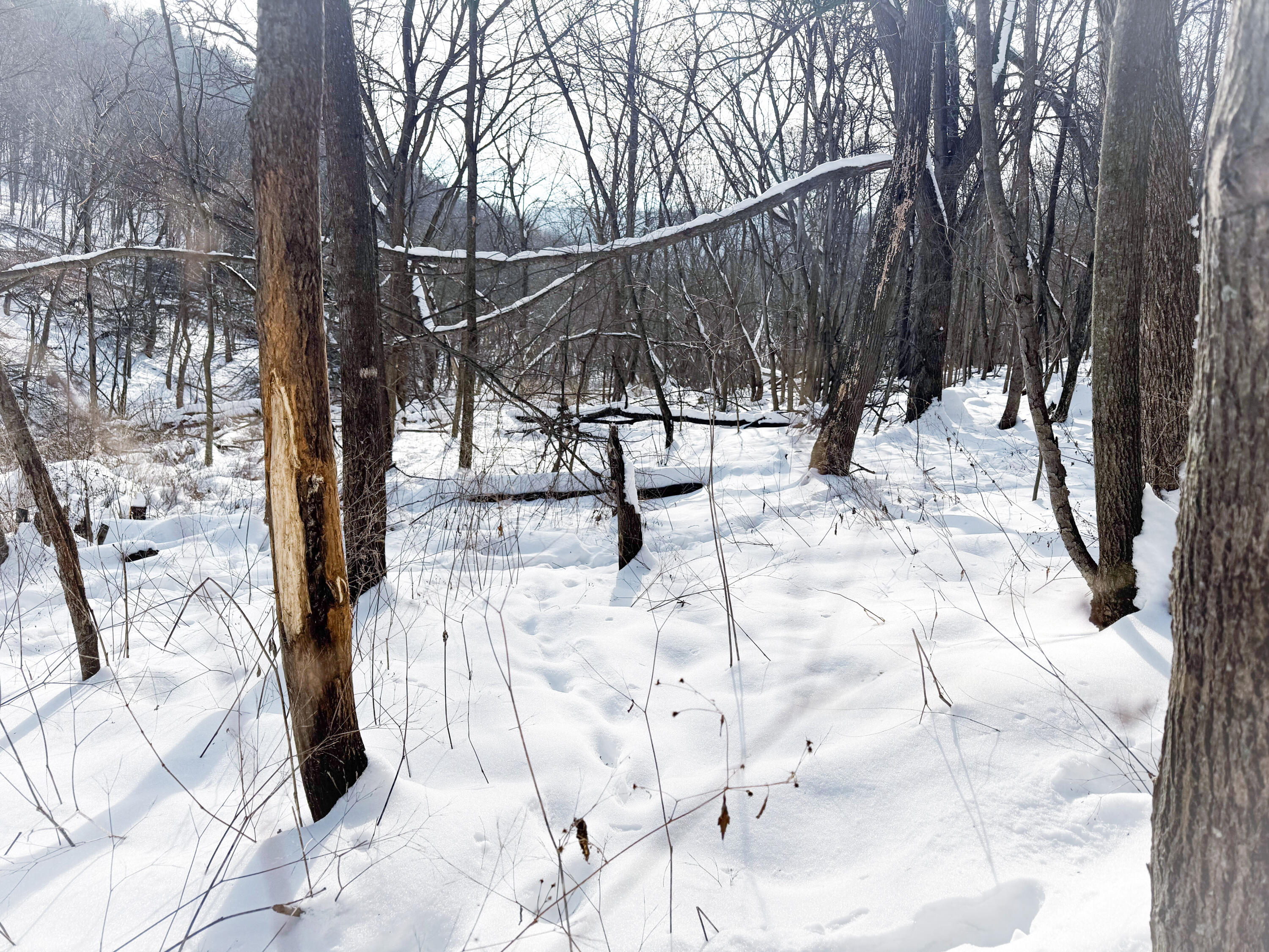 W27022 Whistlers Pass Dodge WI 54625 1947066 image37