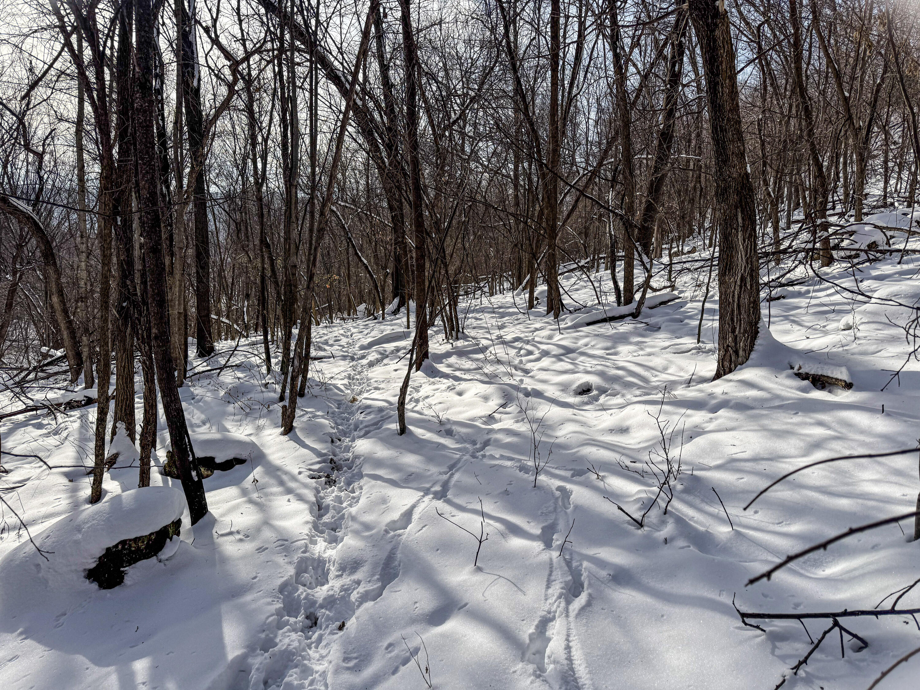 W27022 Whistlers Pass Dodge WI 54625 1947066 image38