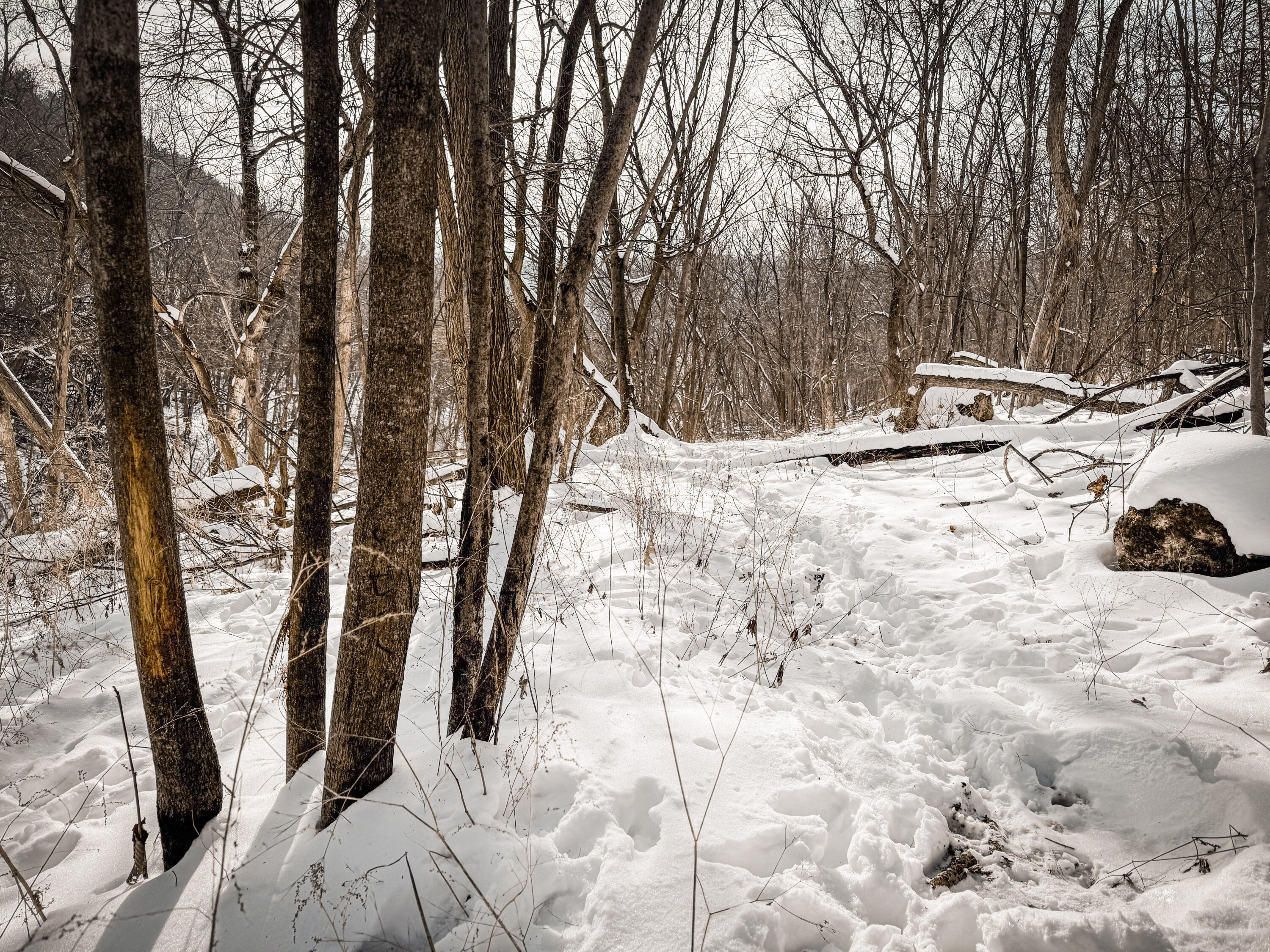 W27022 Whistlers Pass Dodge WI 54625 1947066 image39