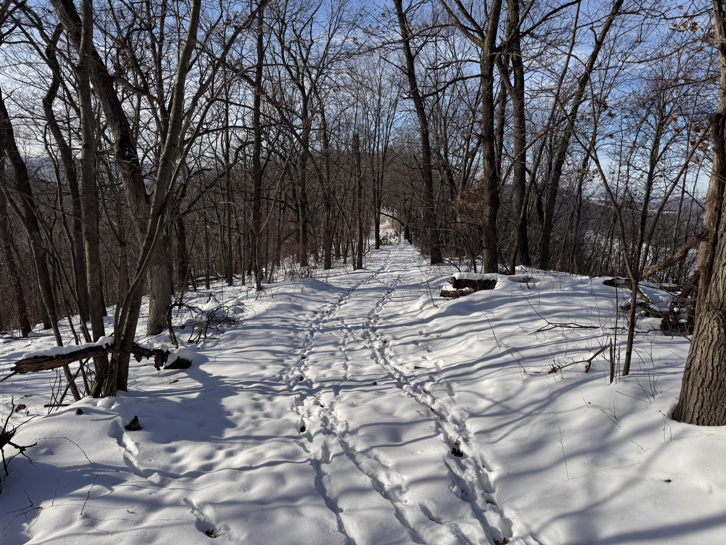 W27022 Whistlers Pass Dodge WI 54625 1947066 image4