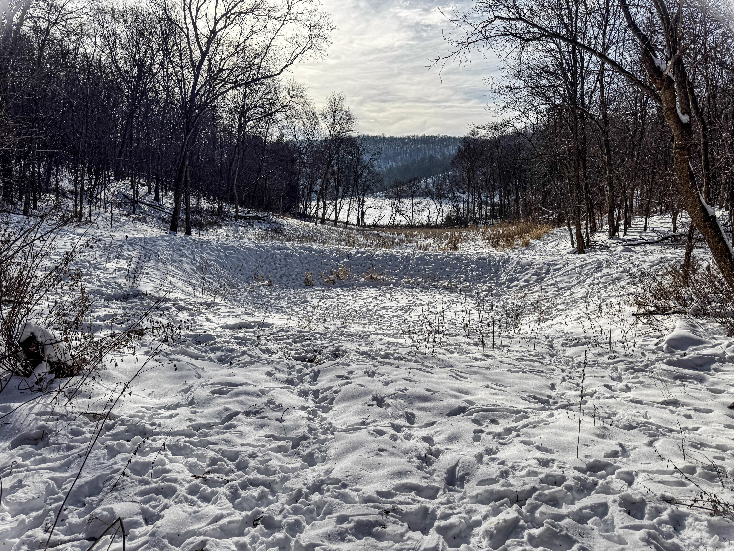 W27022 Whistlers Pass Dodge WI 54625 1947066 image40