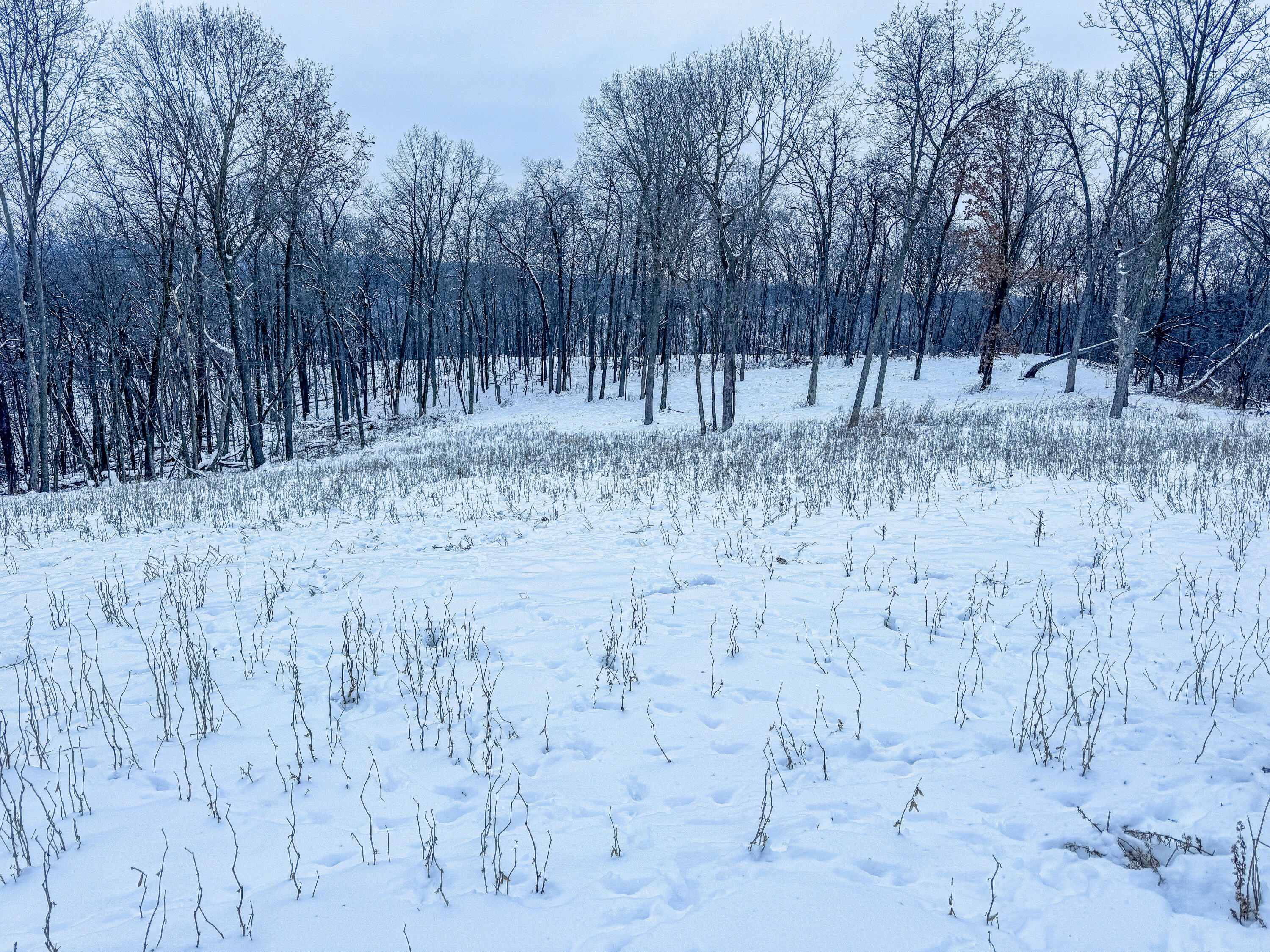 W27022 Whistlers Pass Dodge WI 54625 1947066 image43