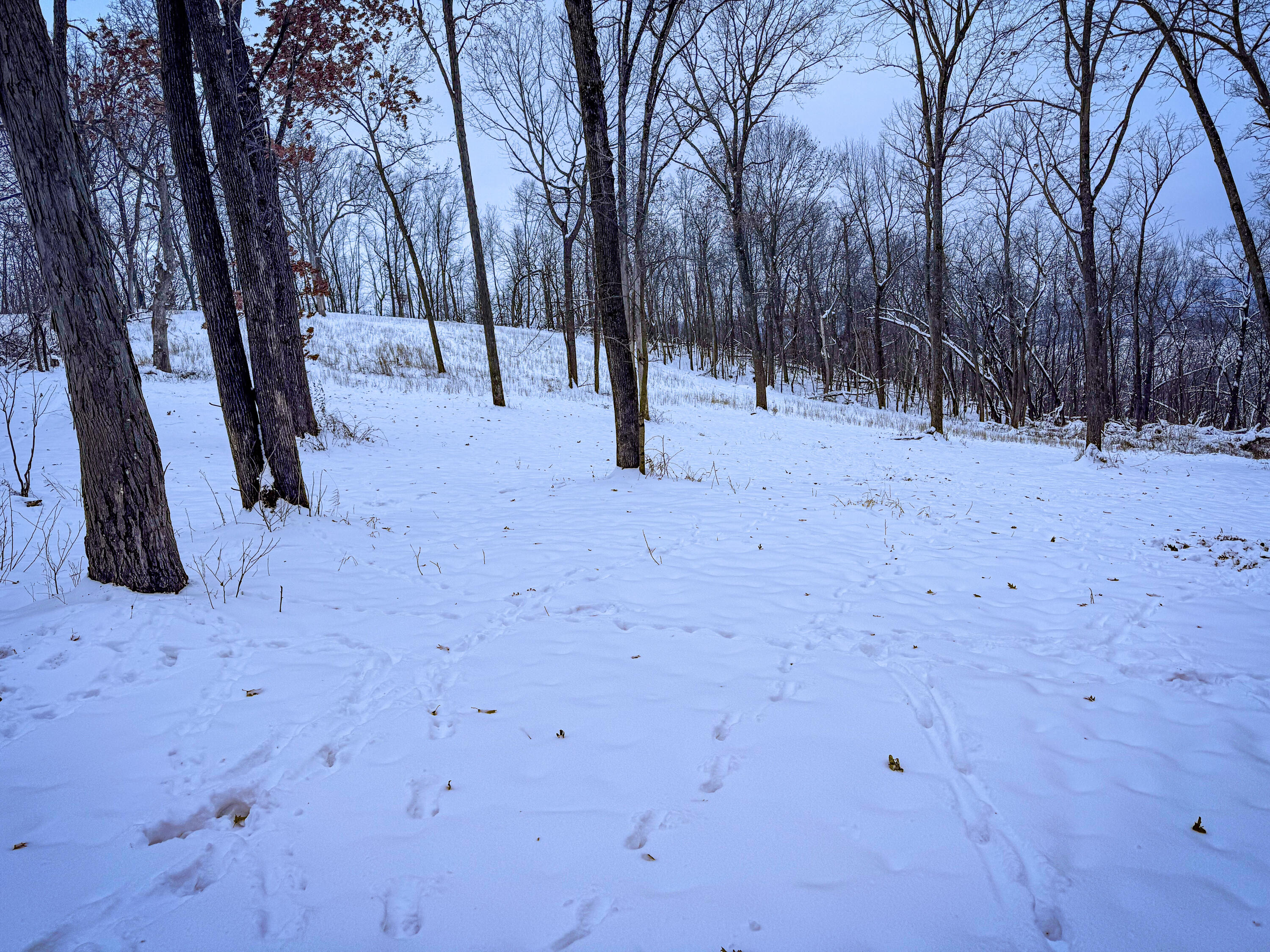 W27022 Whistlers Pass Dodge WI 54625 1947066 image44