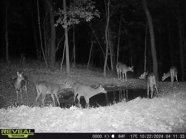 W27022 Whistlers Pass Dodge WI 54625 1947066 image45