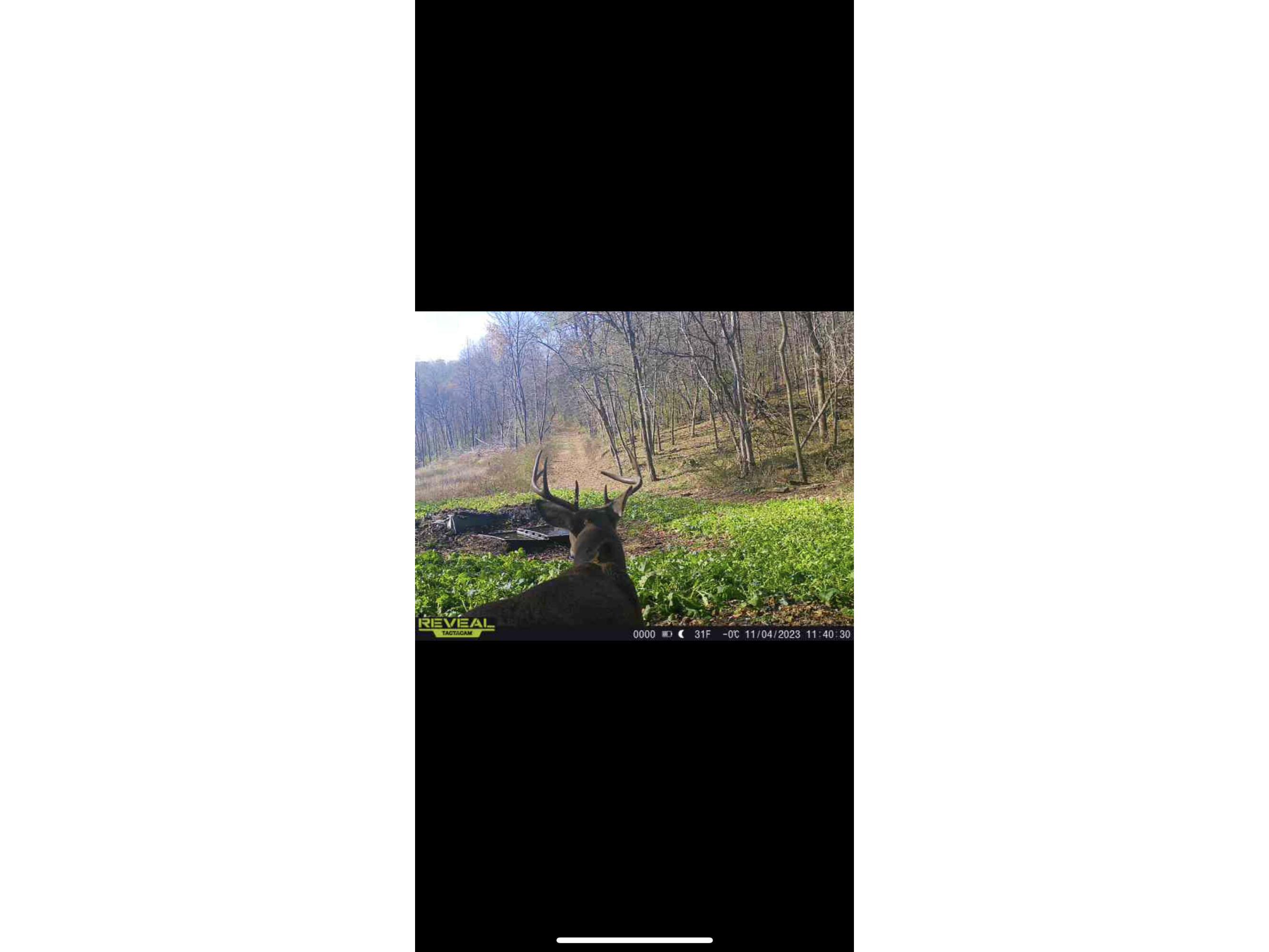 W27022 Whistlers Pass Dodge WI 54625 1947066 image46