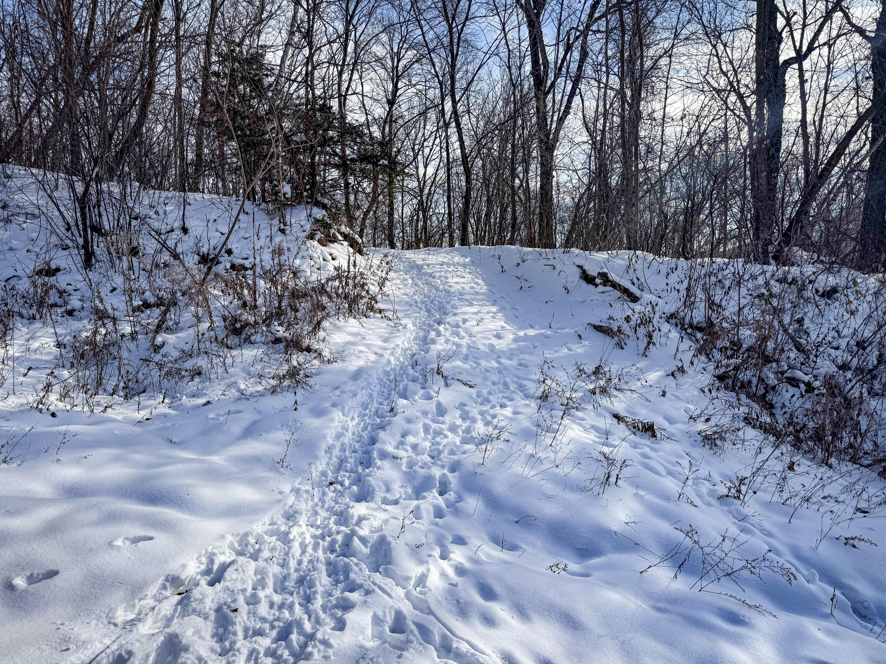 W27022 Whistlers Pass Dodge WI 54625 1947066 image48