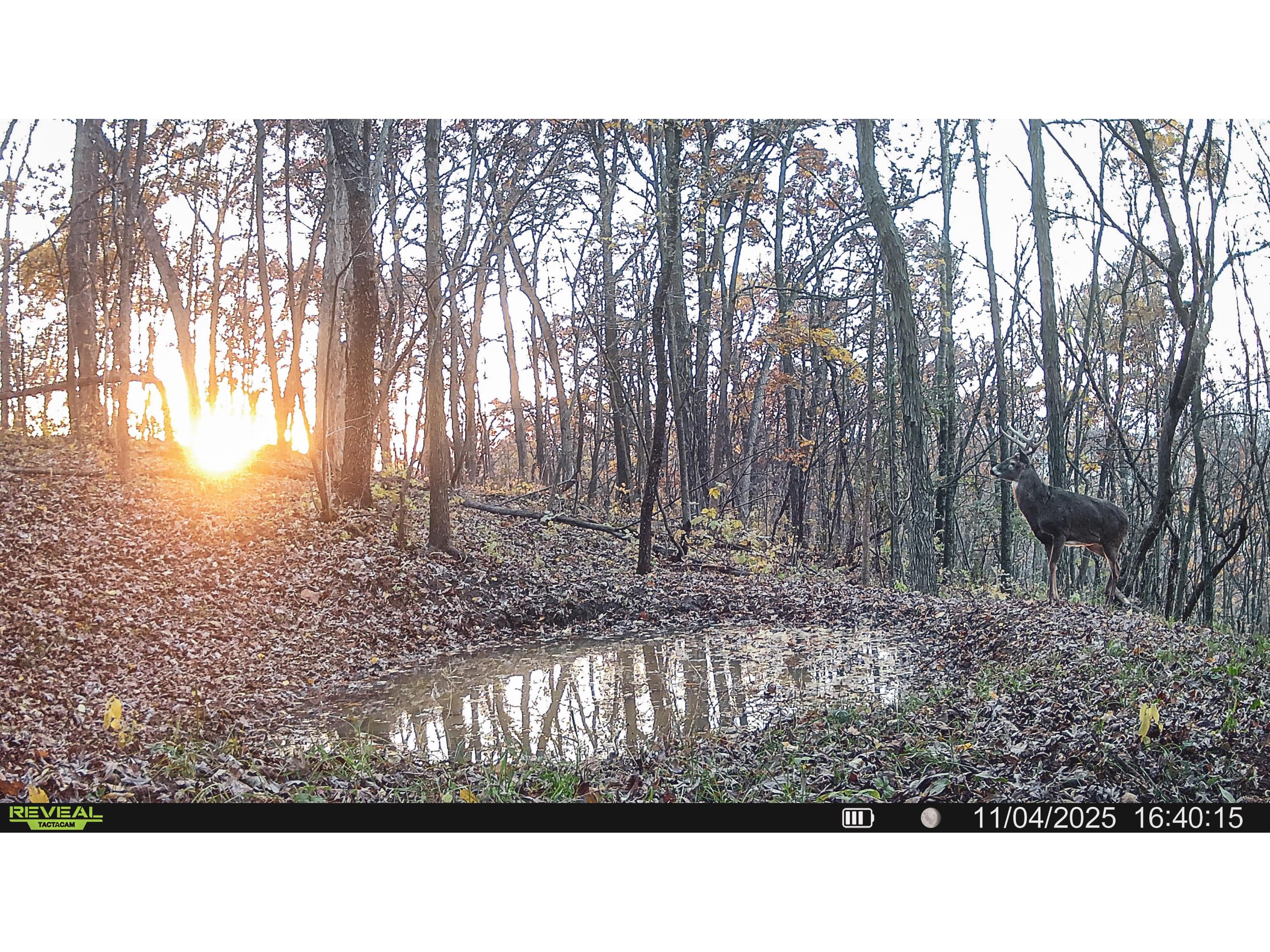 W27022 Whistlers Pass Dodge WI 54625 1947066 image5