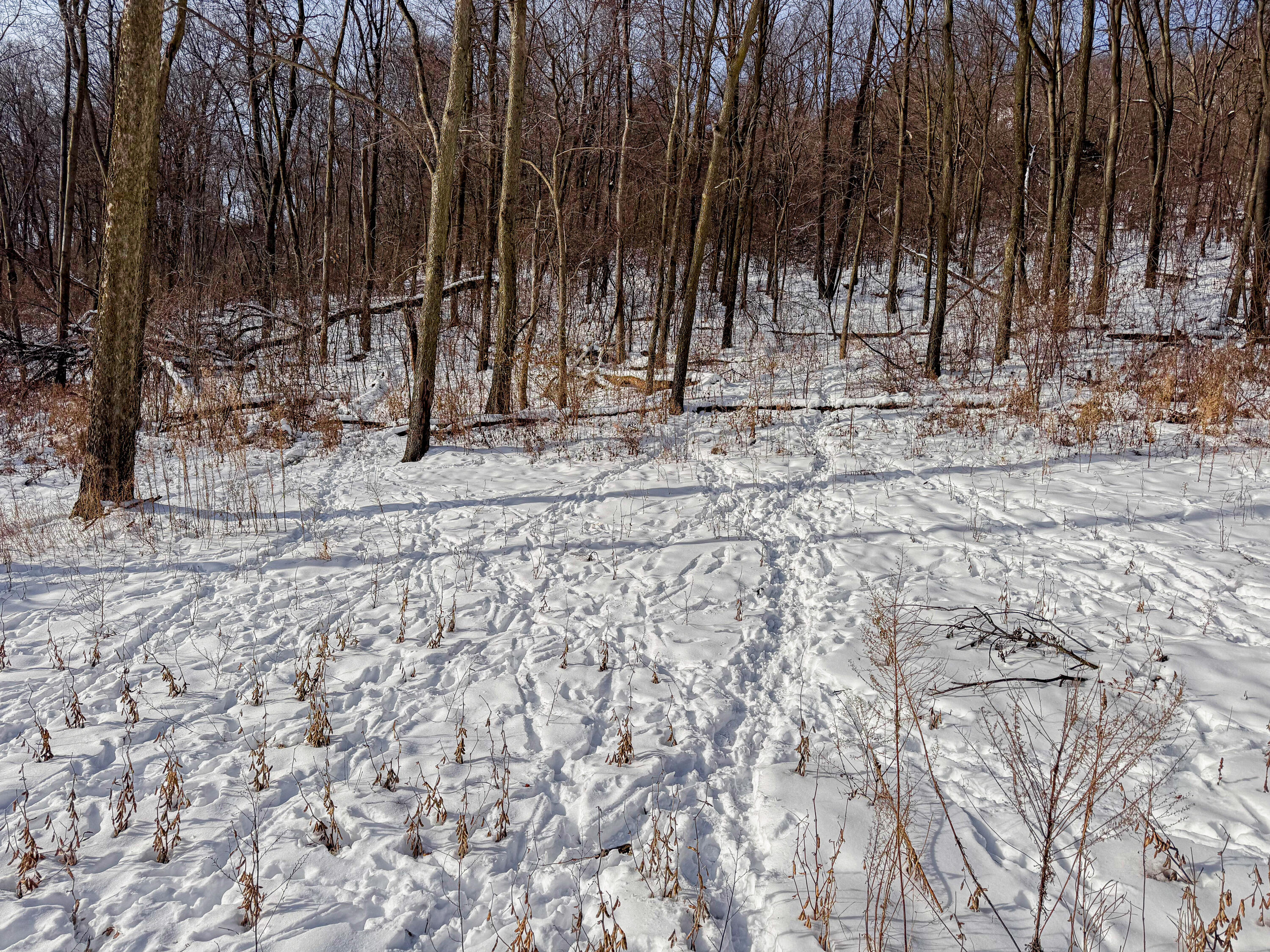 W27022 Whistlers Pass Dodge WI 54625 1947066 image50