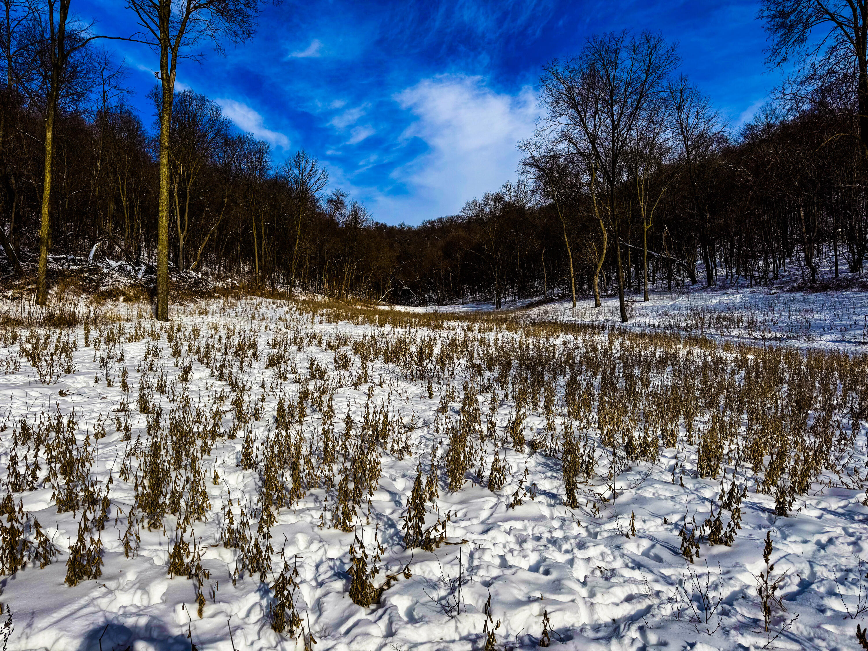 W27022 Whistlers Pass Dodge WI 54625 1947066 image51