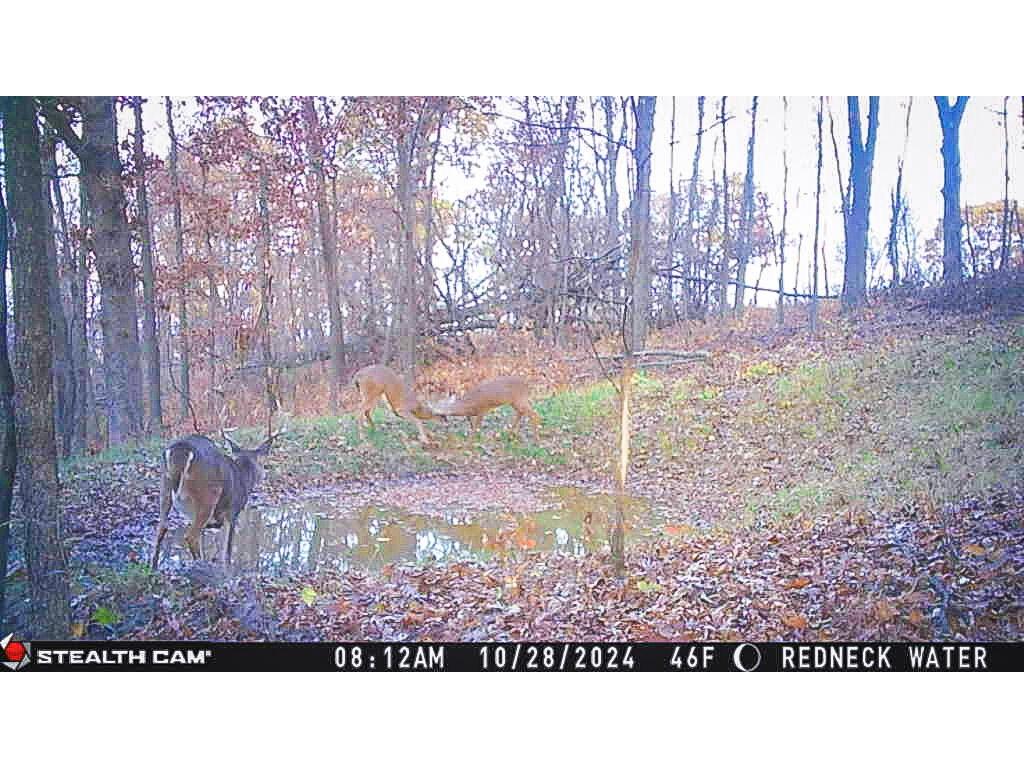 W27022 Whistlers Pass Dodge WI 54625 1947066 image53