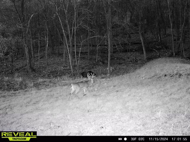 W27022 Whistlers Pass Dodge WI 54625 1947066 image55