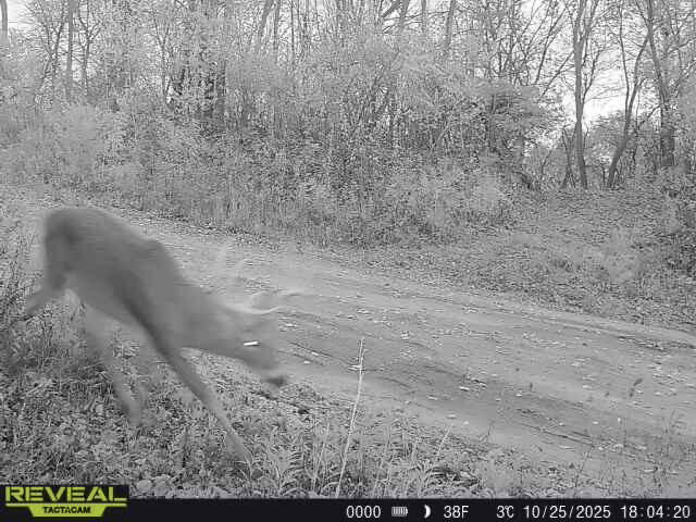 W27022 Whistlers Pass Dodge WI 54625 1947066 image57