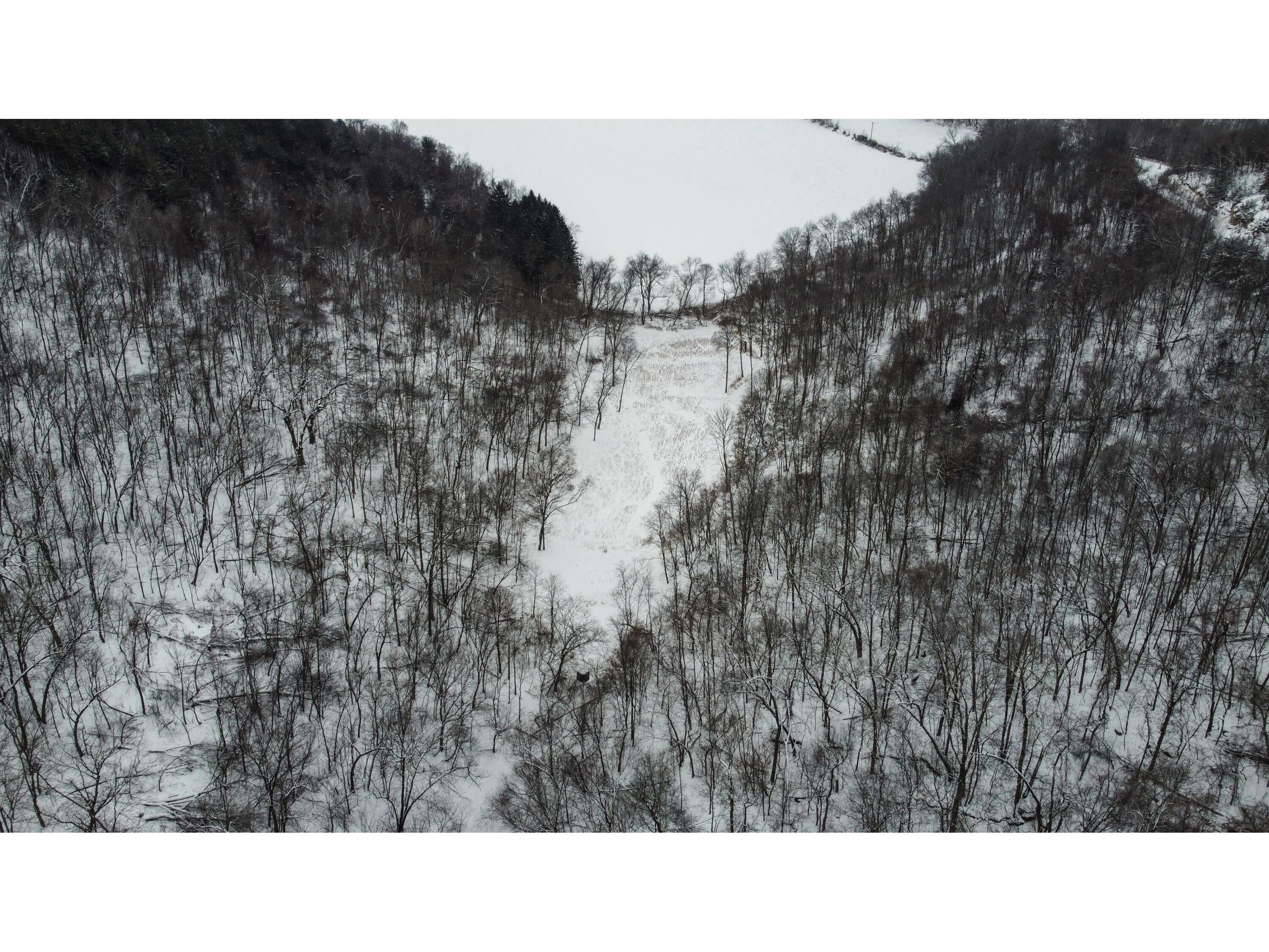 W27022 Whistlers Pass Dodge WI 54625 1947066 image59