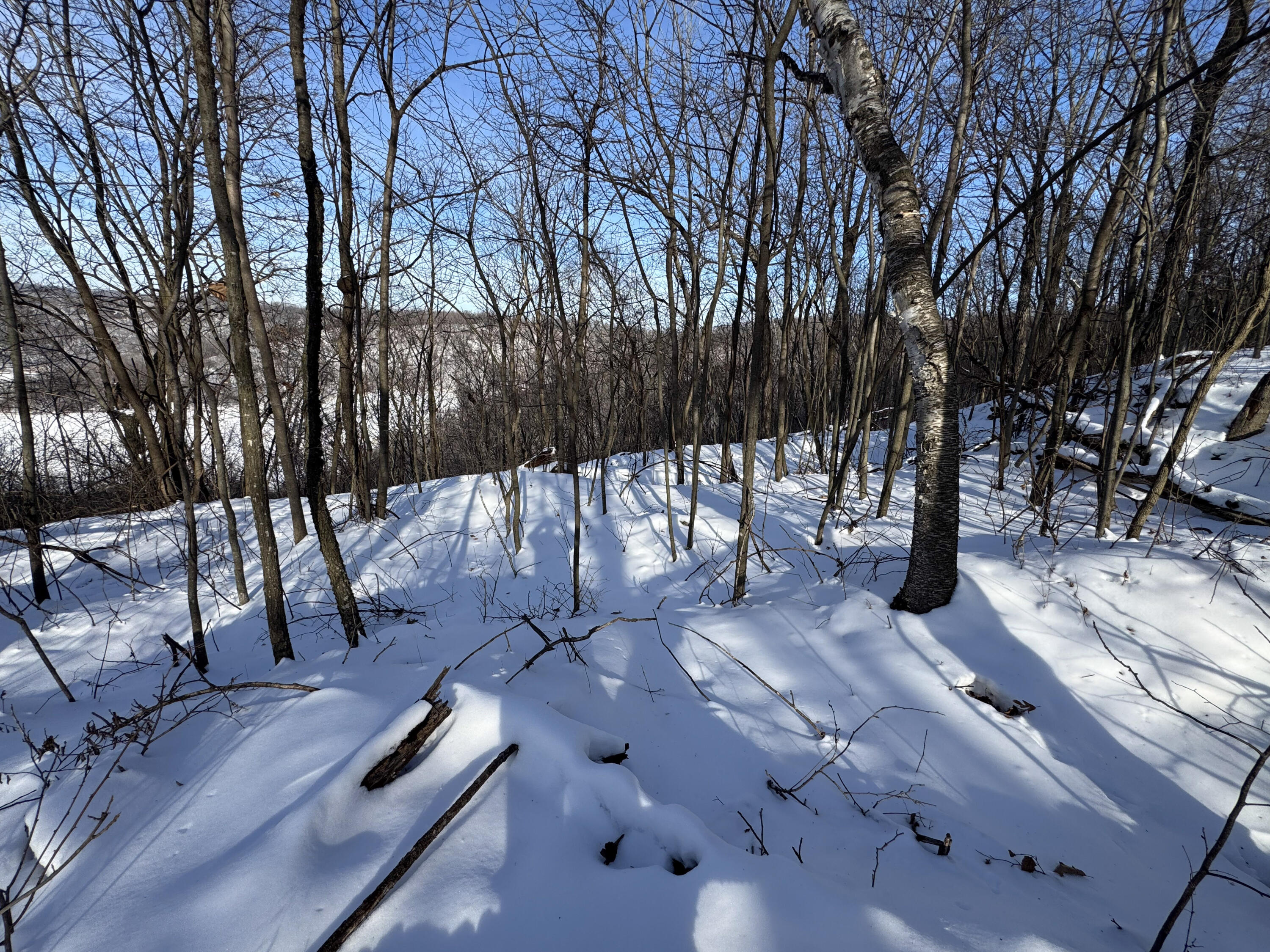 W27022 Whistlers Pass Dodge WI 54625 1947066 image6