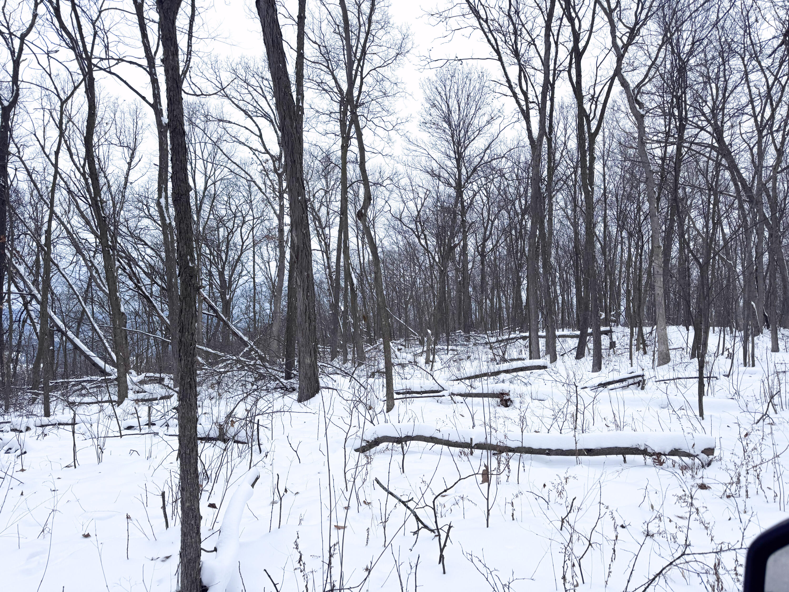 W27022 Whistlers Pass Dodge WI 54625 1947066 image67